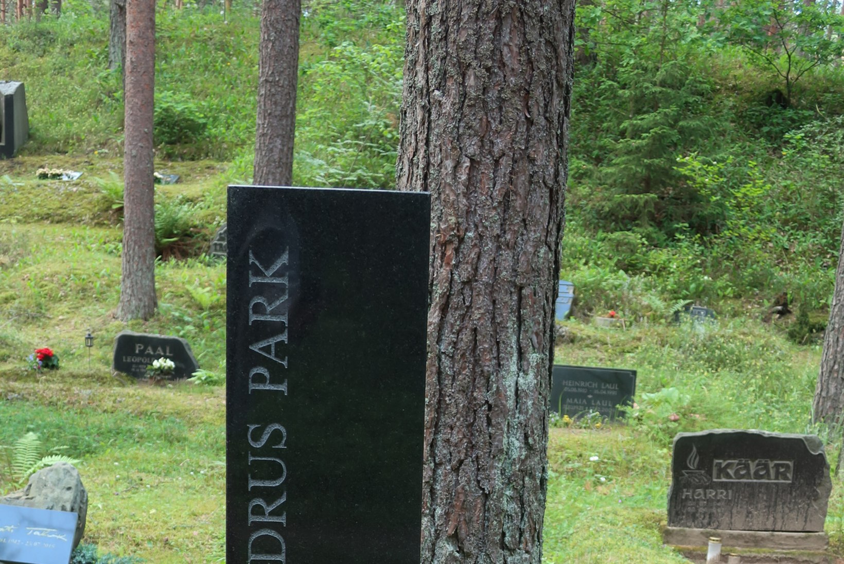 Voldemar Kuslapi kalmukolumn | Teenekad inimesed Metsakalmistul