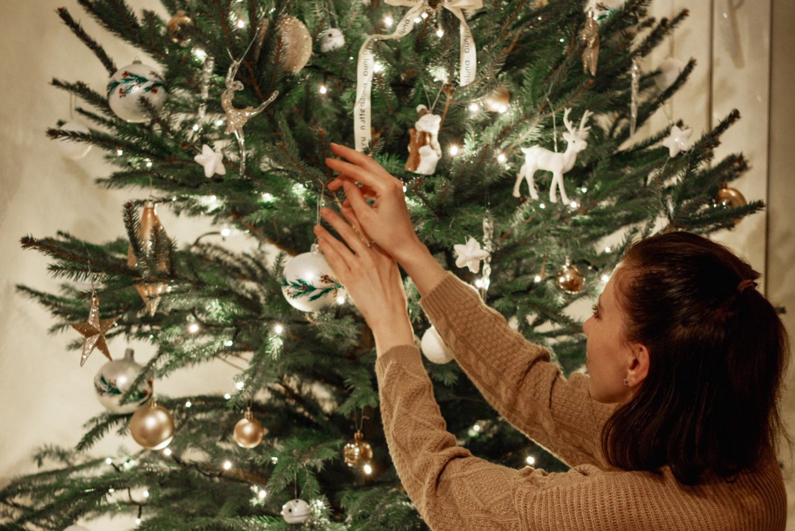 TEST | Vaata järele, milline kuusk sobib jõuludeks sinu koju!
