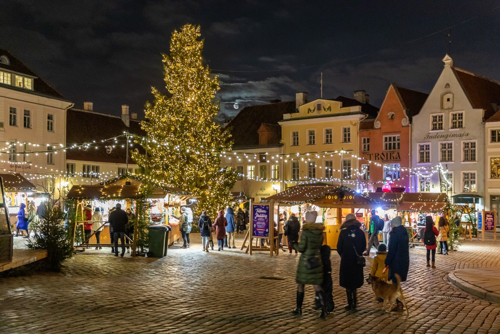 GALERII | Vaata, millised jõulukuused ehivad tänavu Eesti linnu! 