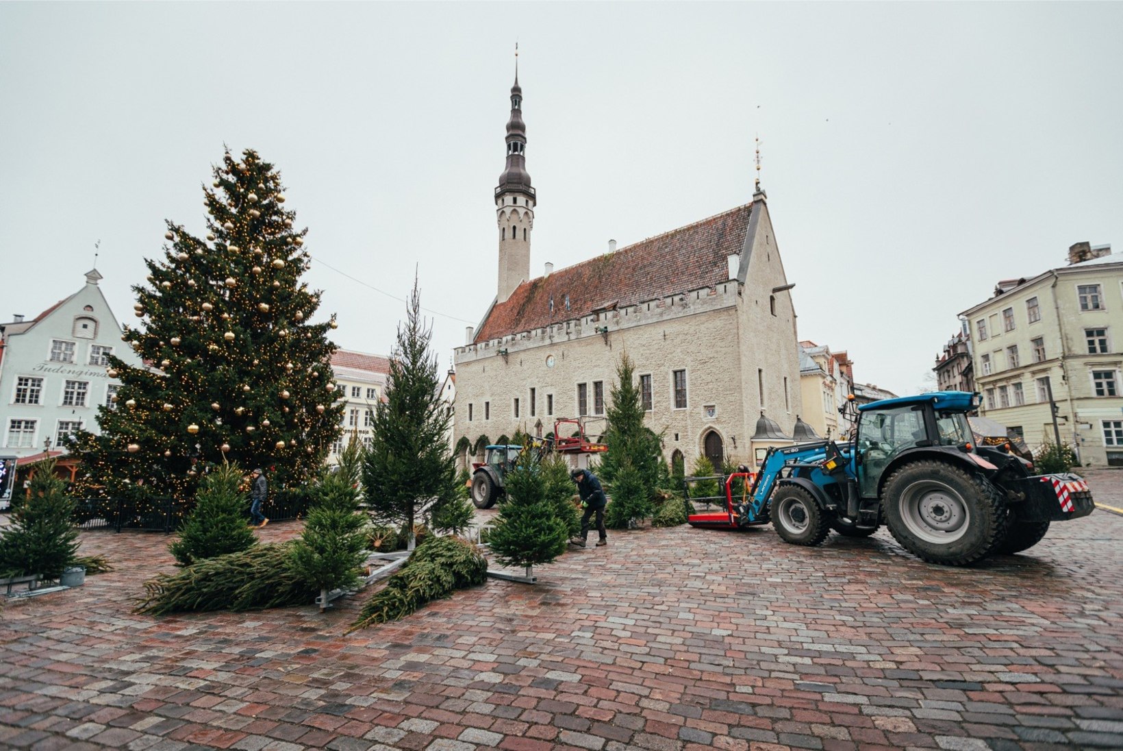 GALERII | Raekoja platsil kerkib jõuluturu asemele võlumets