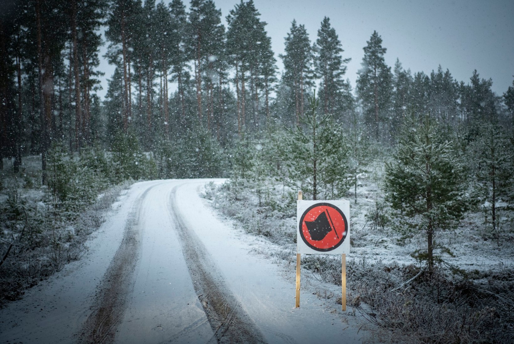 Rootsi ralli lüheneb veelgi: kiiruskatseid jääb järele kümme