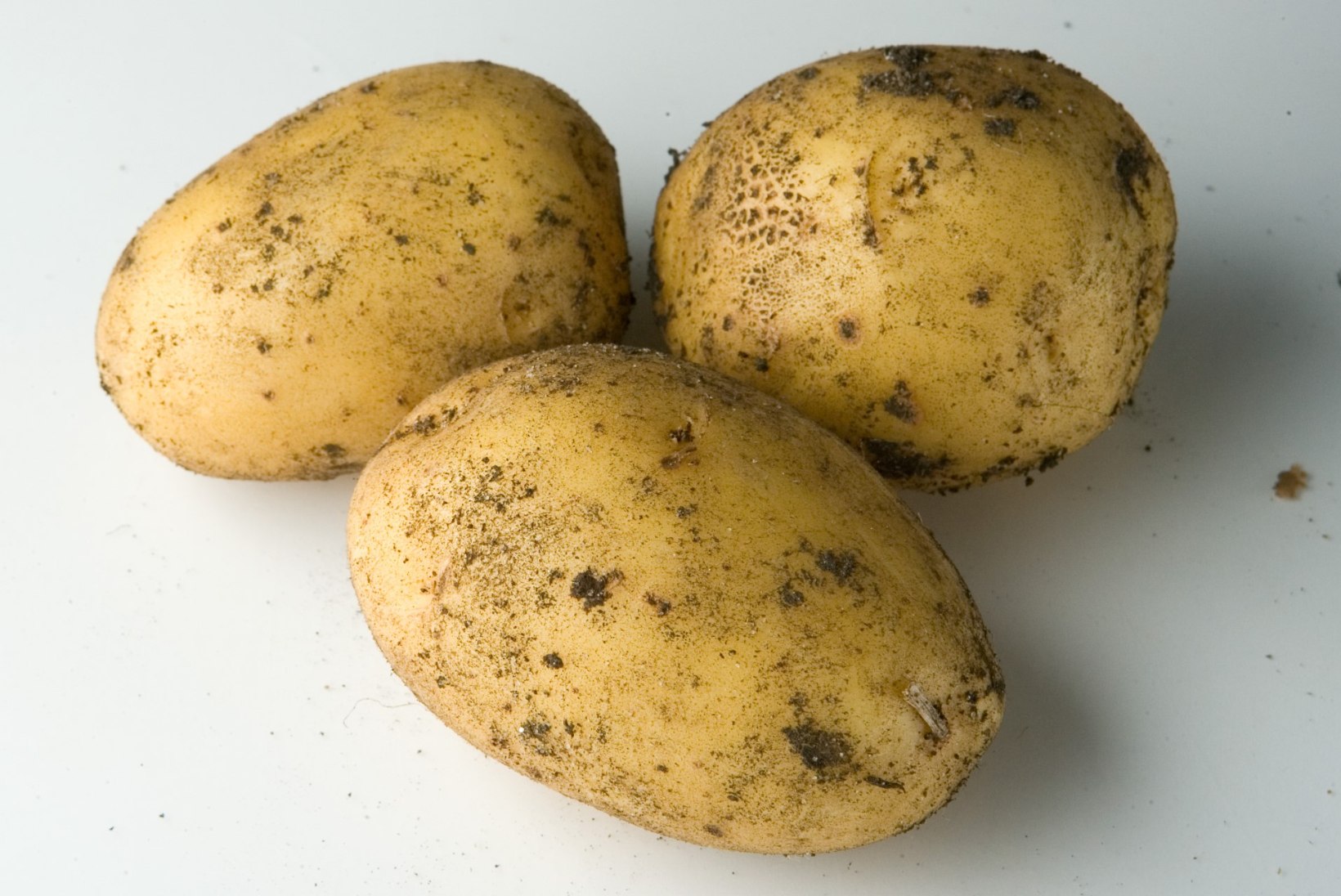 LUGEJA KÜSIB | Millist kartulit poest osta, kui ma tahan teha kartulisalatit?