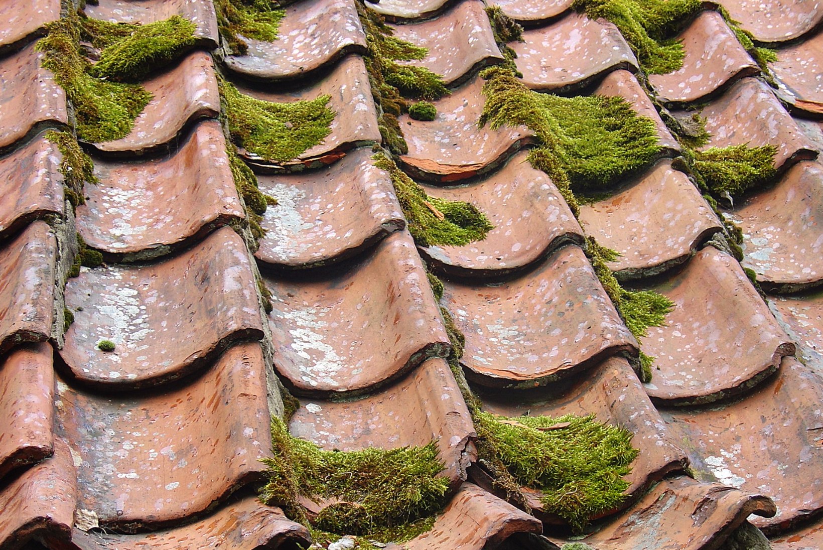Kevadine katusepuhastus: kuidas seda õigesti teha?