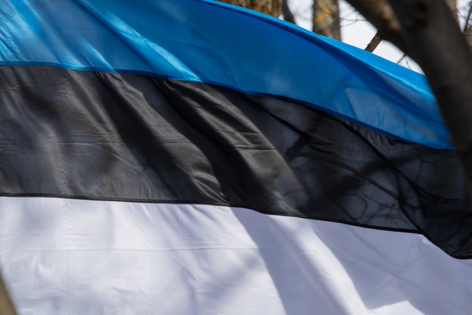 Tõnis Erilaiu lehesaba | Kuidas kümned tuhanded eestlased meelt avaldasid