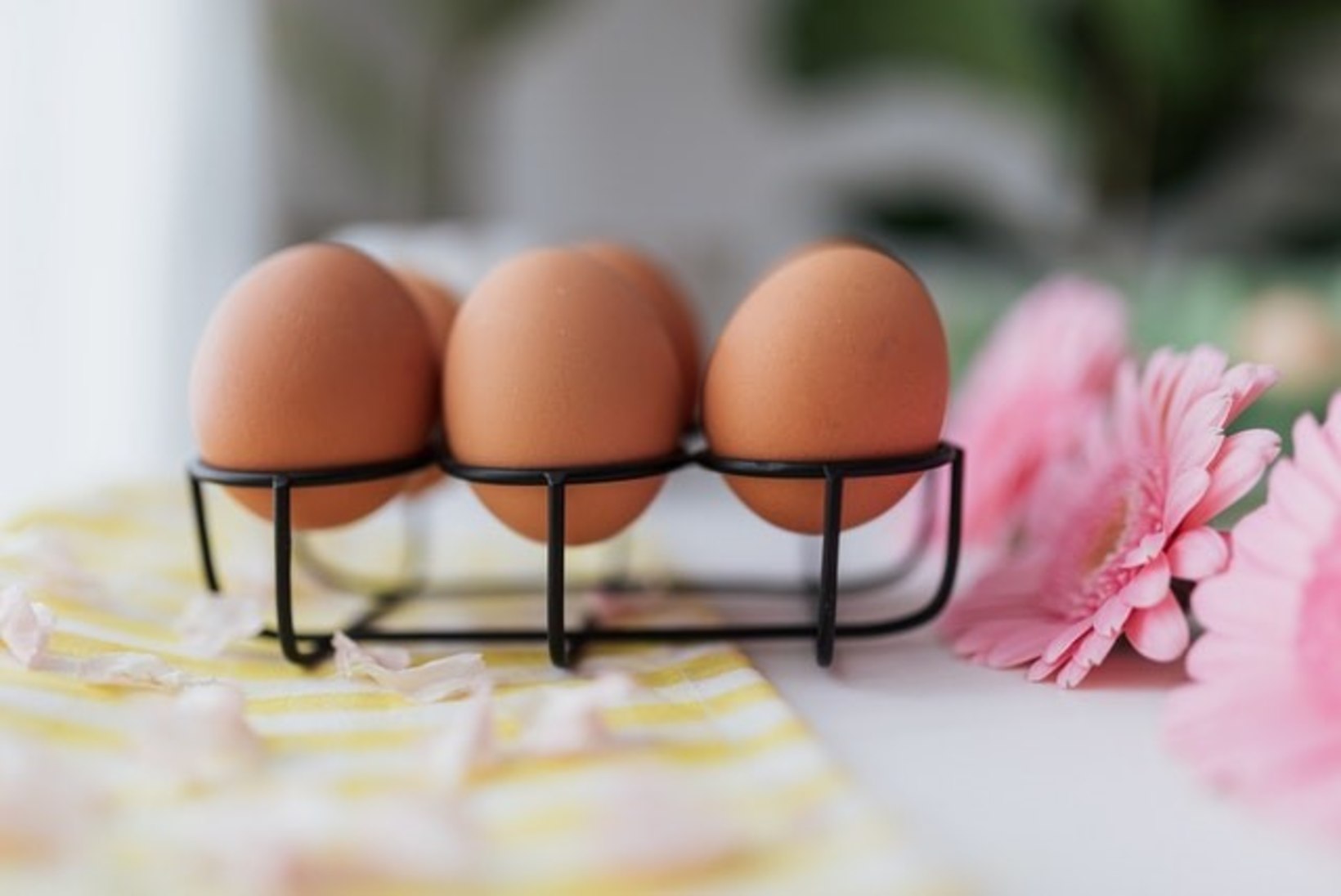 Lähenevate lihavõtete hoos: 3 kogupere tegevust munadega