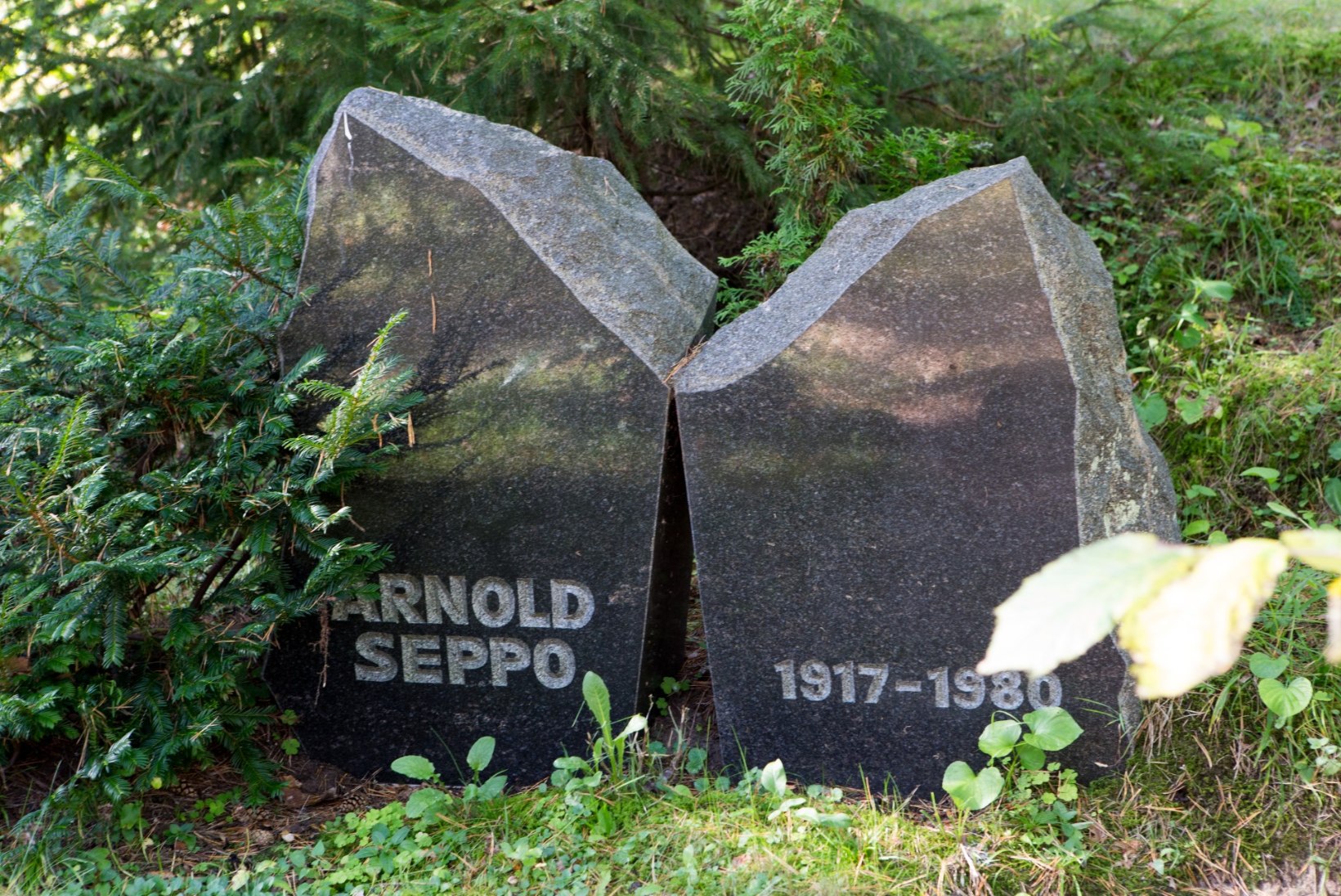 HINNATUD ARST JA VÄSIMATU LEIUTAJA. Täna 40 aastat tagasi suri legendaarne Arnold Seppo