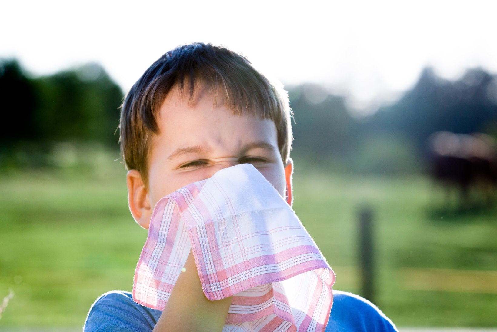 Kolm levinumat allergiat ja nõksud, kuidas neid leevendada