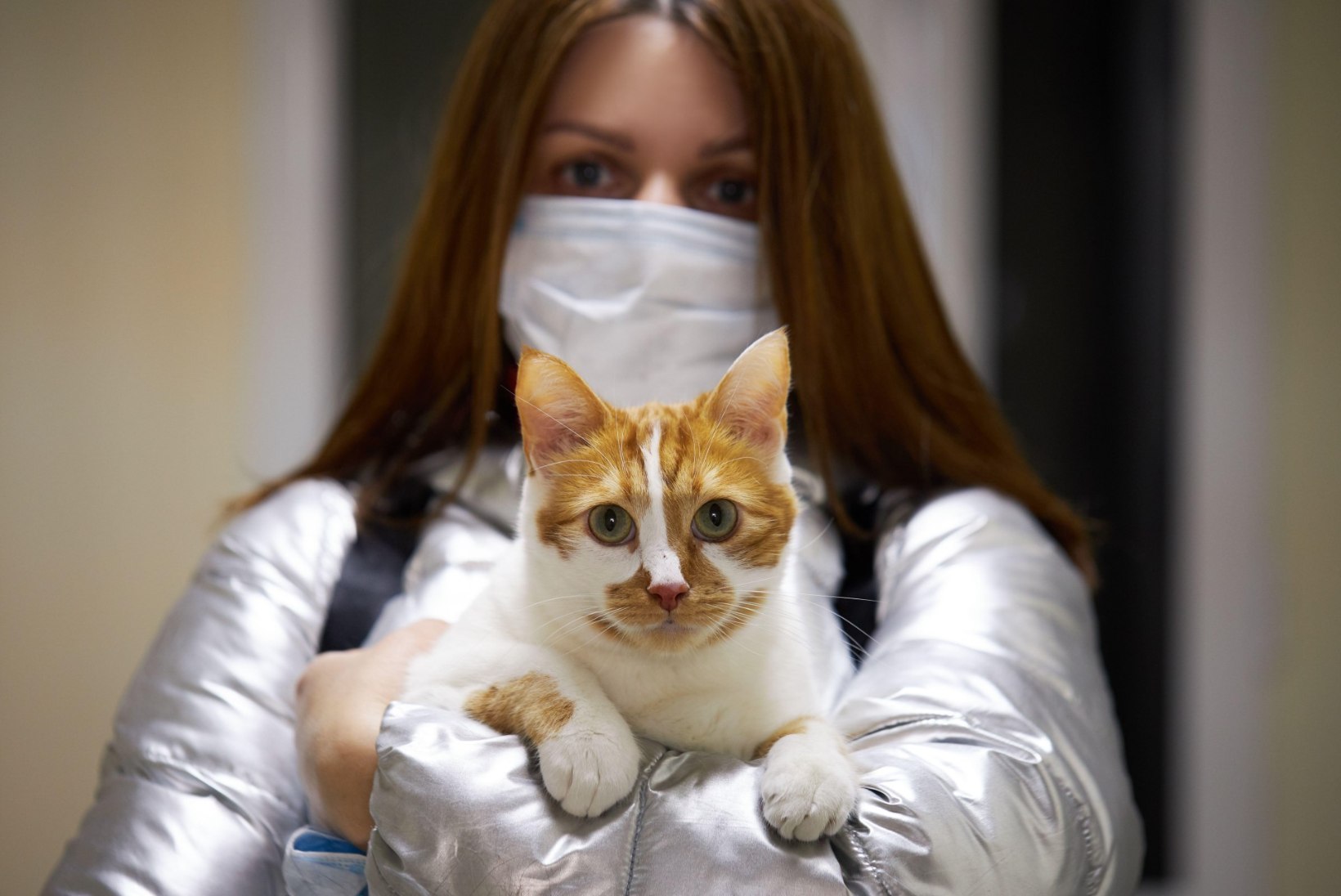 KAS KASS JA KOER VÕIVAD KOROONAVIIRUST KOJU TASSIDA? Epidemioloog selgitab, kuidas käituda praegu lemmikloomadega