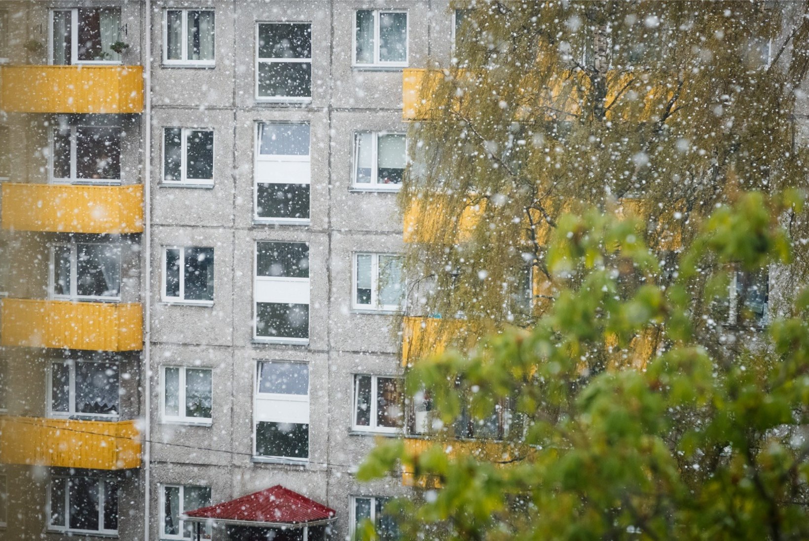 PILDID | Mis kevad?! Tallinnas sajab lörtsi!