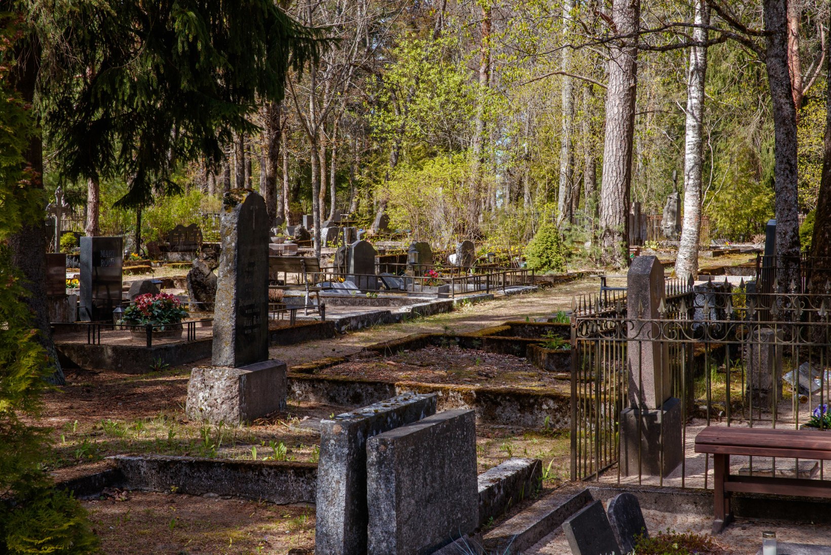 VIIMSE ASEMEGA KITSAS KÄES: tallinlased on surnuaiad täis matnud