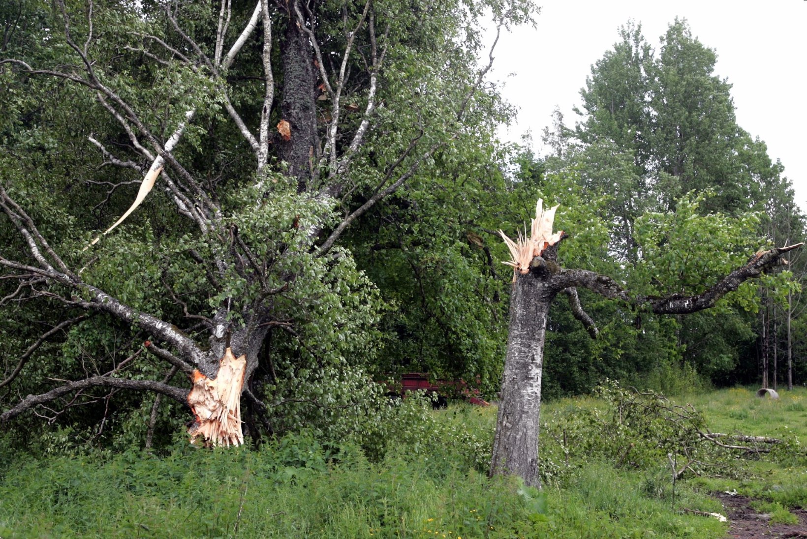 Tõnis Erilaiu lehesaba | Kuidas tuulispasad eri paigus Eestit laastasid