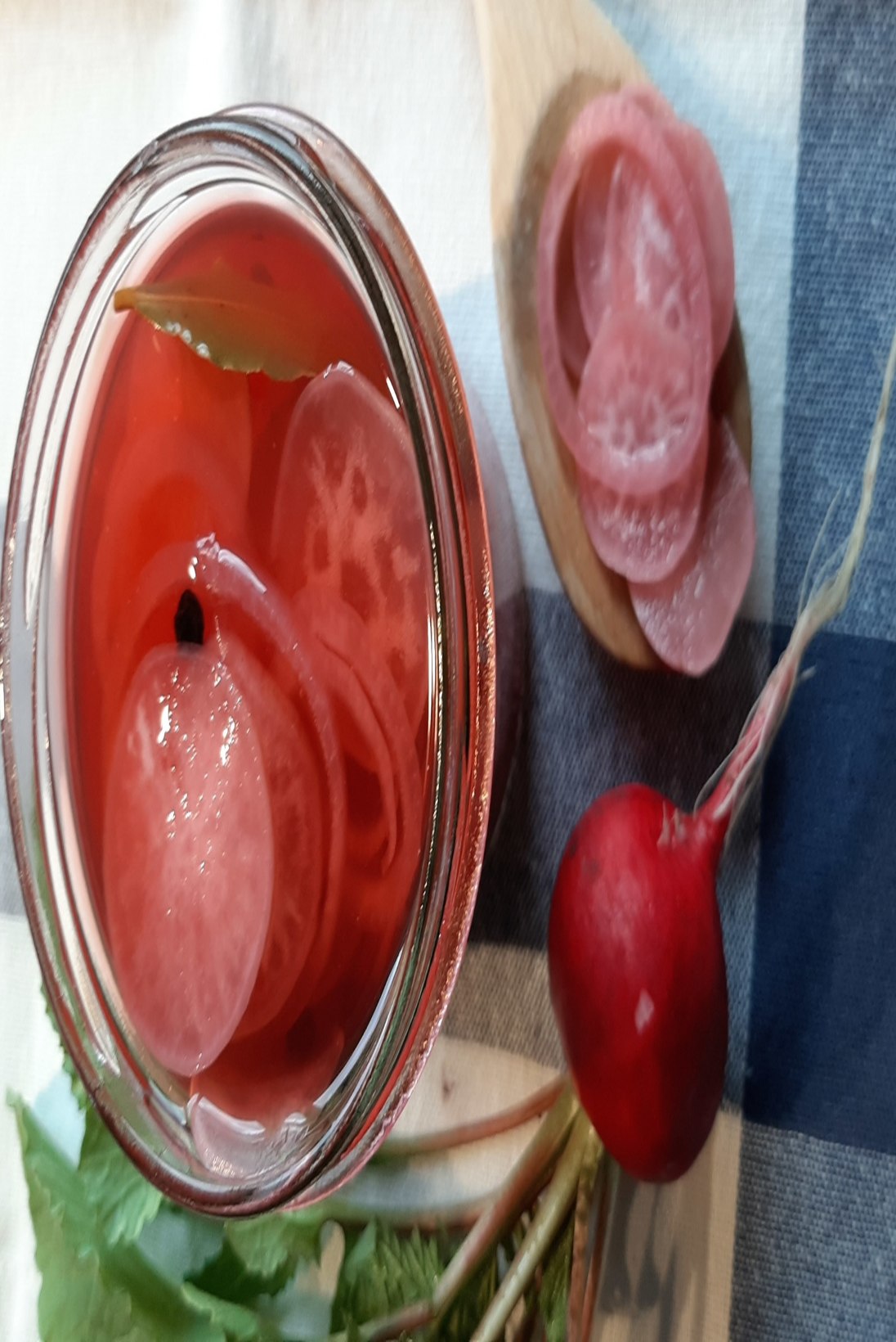HOOAJA ESIMESED HOIDISED: marineeritud redised punase sibulaga