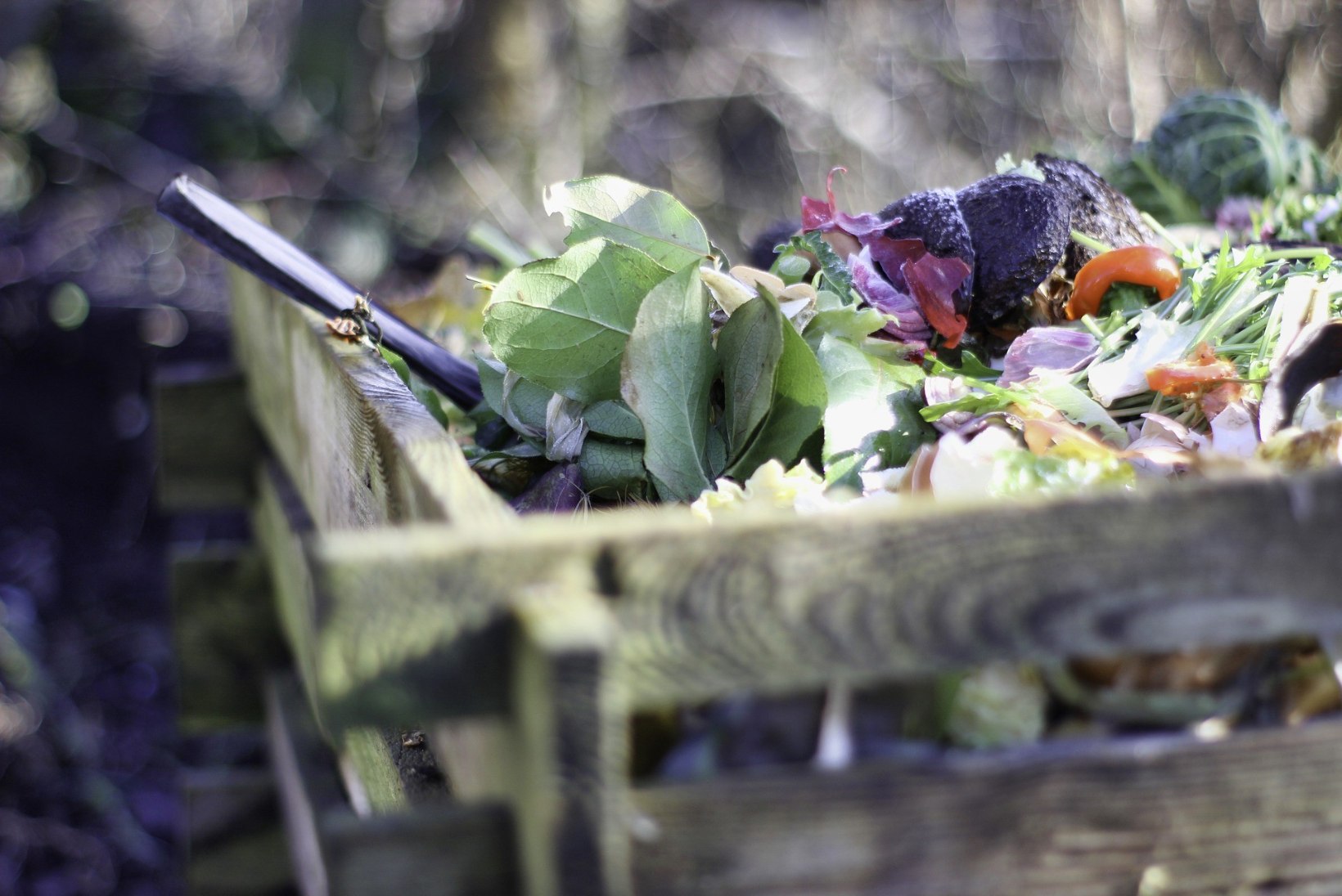 Ettevaatust, kompost! Väetiste ületarvitamine mürgitab aedvilju