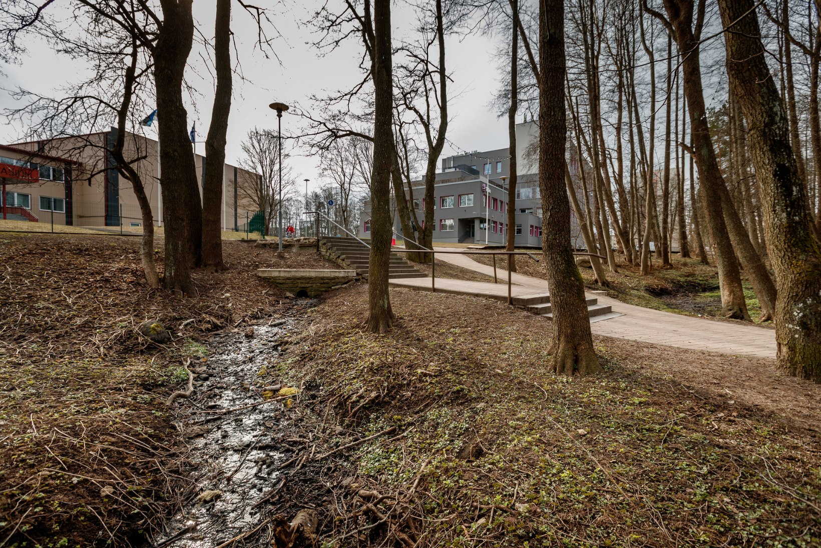 Jalutuskäik Tallinna kadunud vetemaailma jälgedes: Mustjõgi, Härjapea, Veerenn ja teised