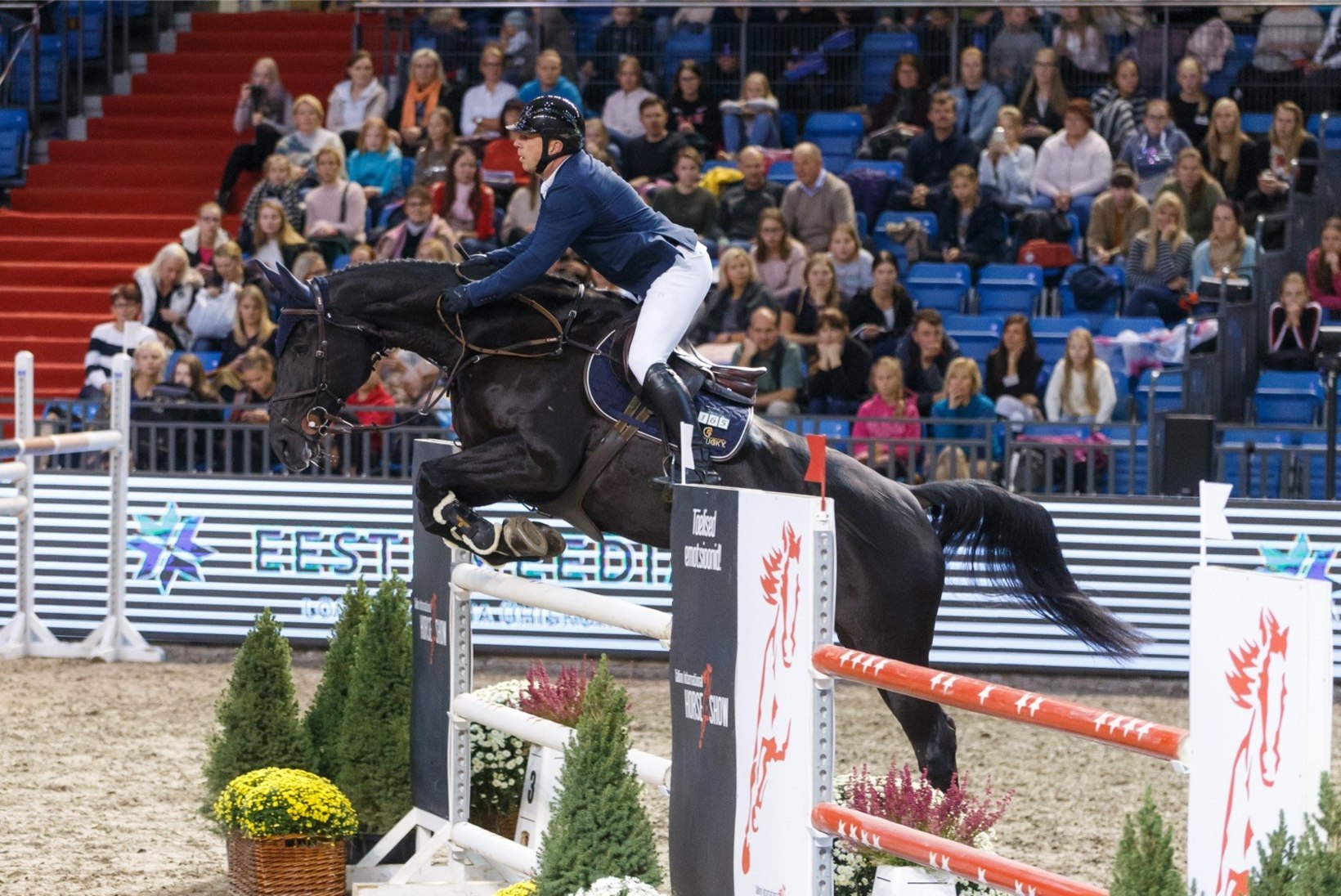 Tänavune Tallinn International Horse Show jääb ära