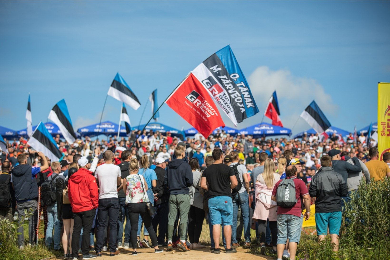 Rally Estonia pöördus autospordiliidu vastu kohtusse