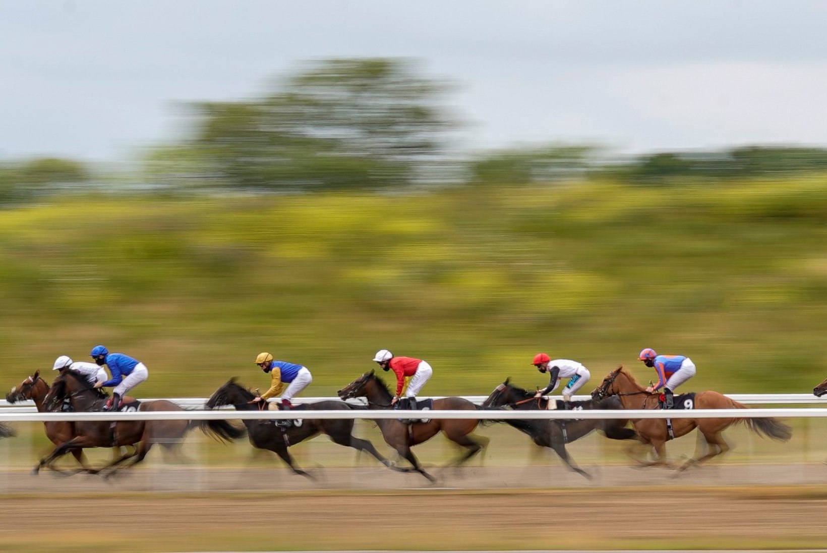Dopinguga hobuse surma põhjustanud Araabia šeik sai rekordpika võistluskeelu