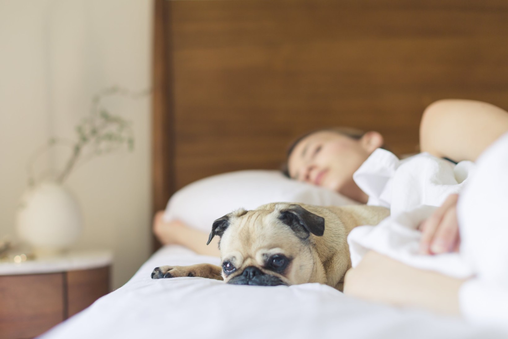 5 nippi, kuidas suveöödel paremini magada