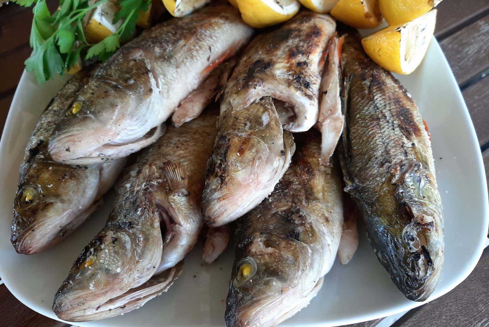 Kokad kinnitavad: kõige värskemat kala saad ikka kalamehe enda käest 