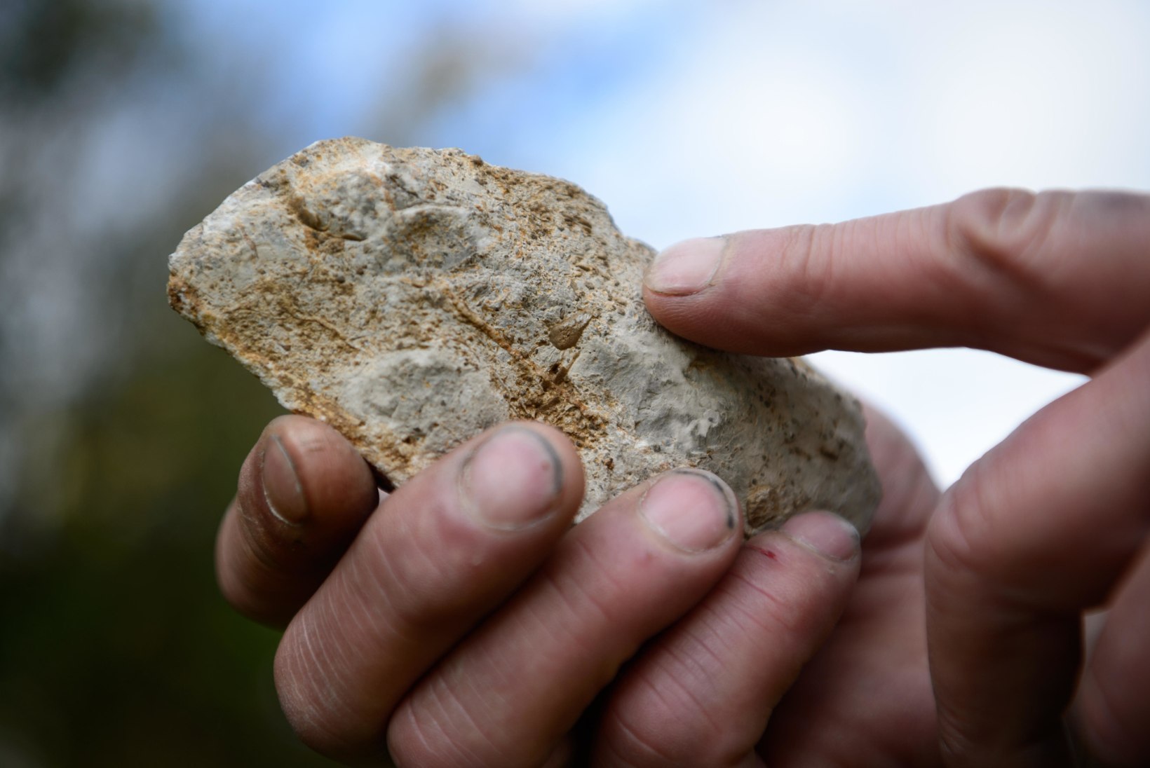 Tansaaniast leiti kahe miljoni aasta vanused tööriistad