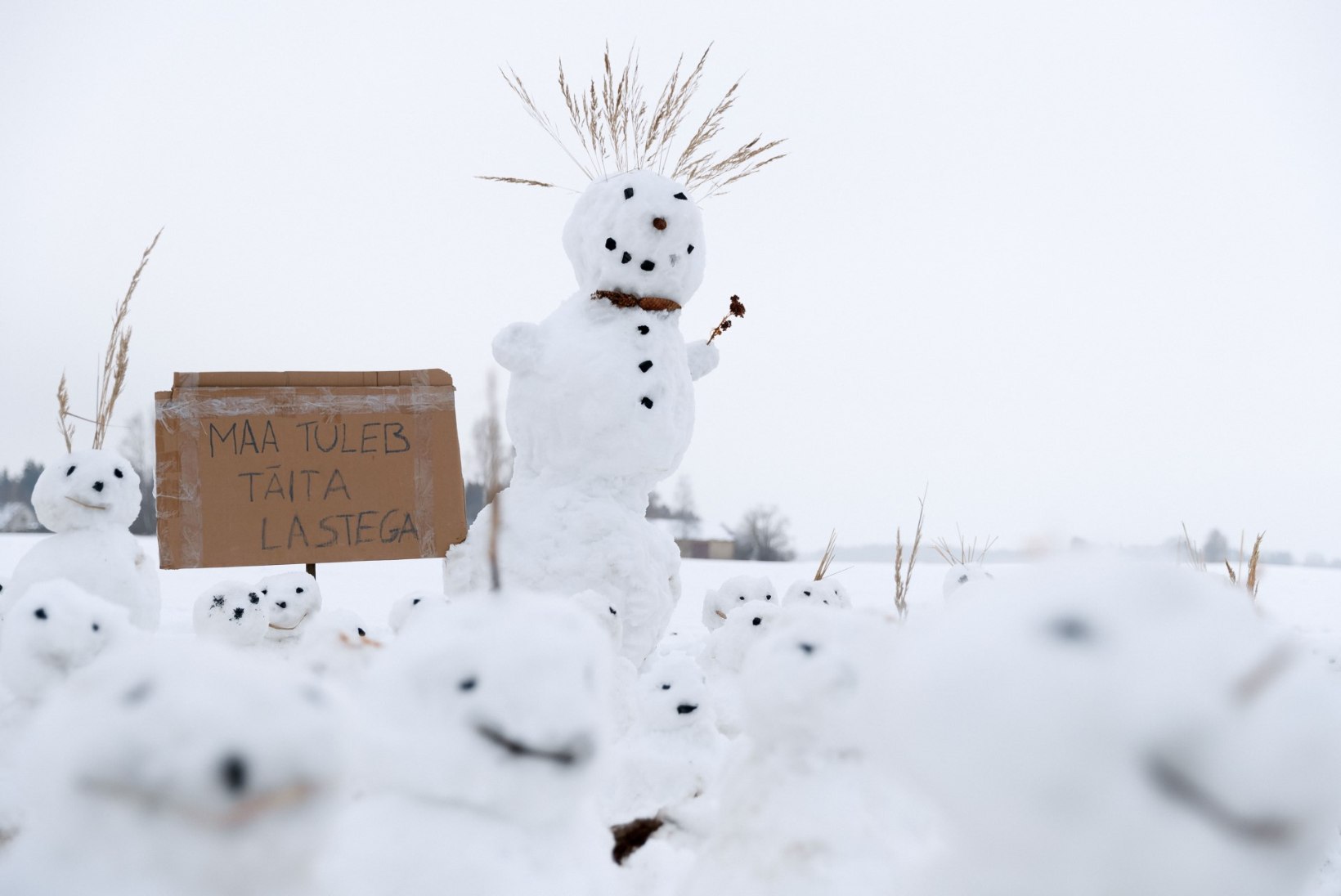 UHKE PARAAD | Väätsal saavad homme kokku lumememmemeistrid ja fantaasiarikkad lahendused