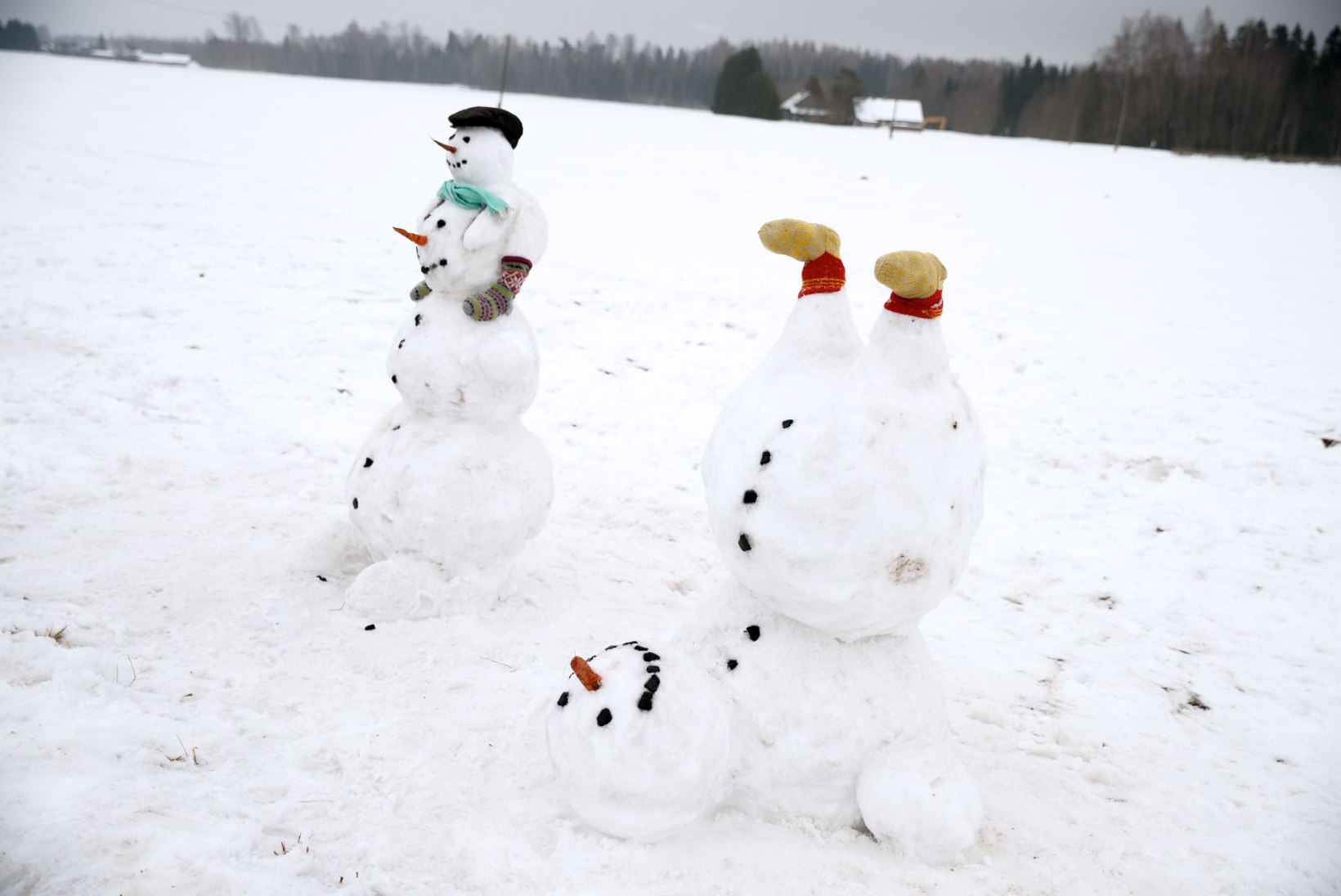 UHKE PARAAD | Väätsal saavad homme kokku lumememmemeistrid ja fantaasiarikkad lahendused