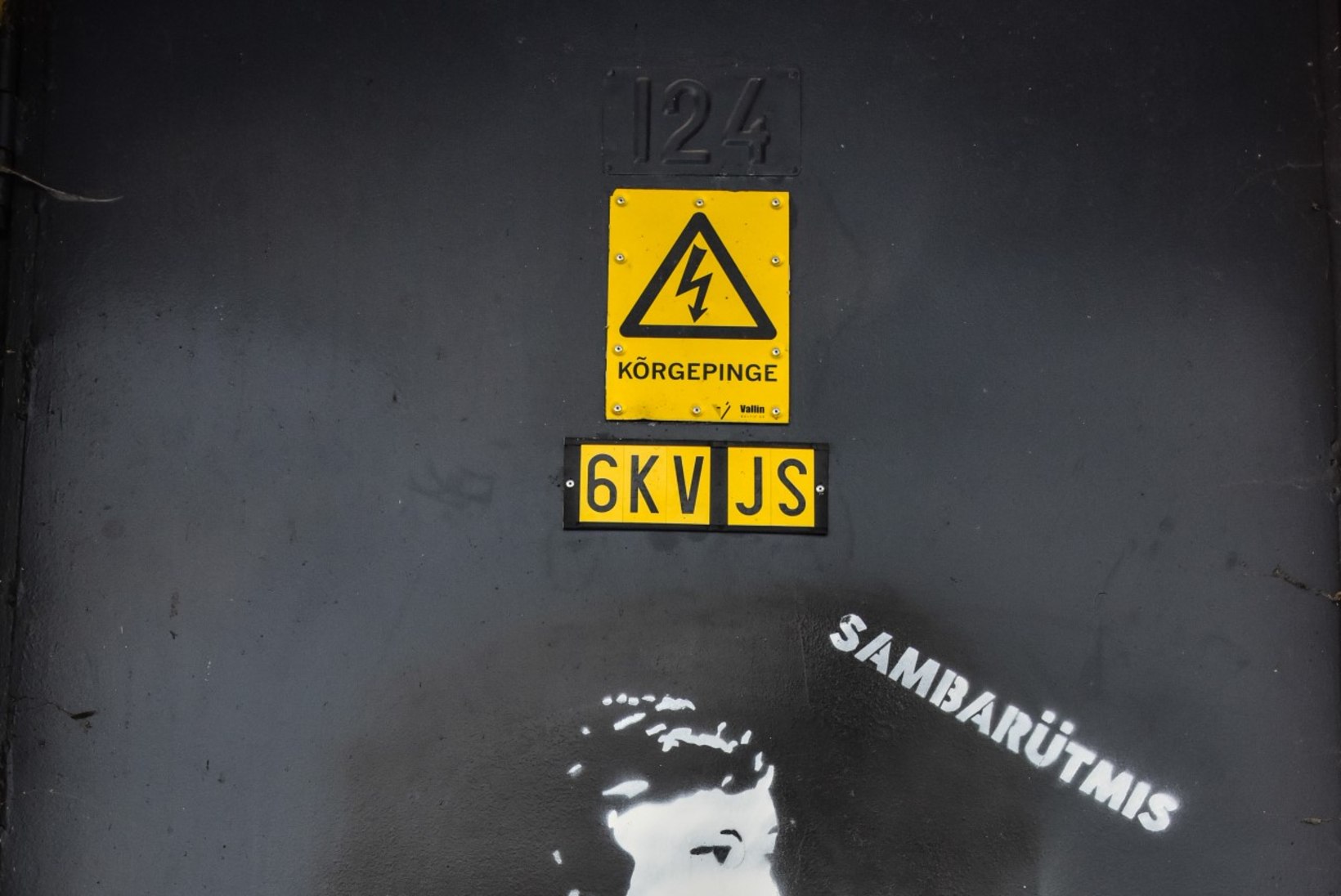 FOTOD | Jaak Joala sai veel ühe sõbra! Viljandisse ilmus estraadilaulja grafiti