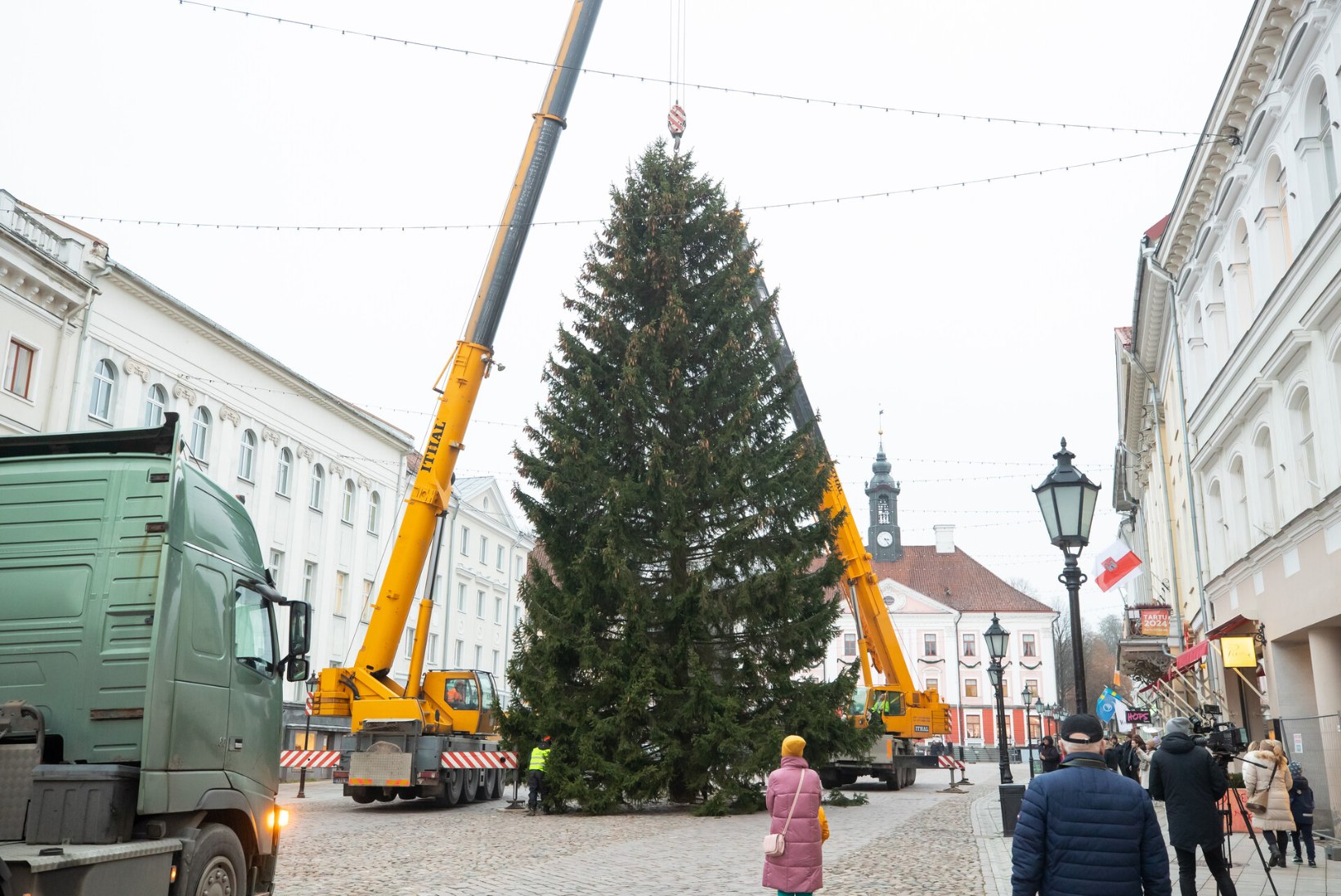 FOTOD | Metsavedu kesklinnas: Tartu Raekoja platsile tõusis Võru külje all kasvanud jõulukuusk
