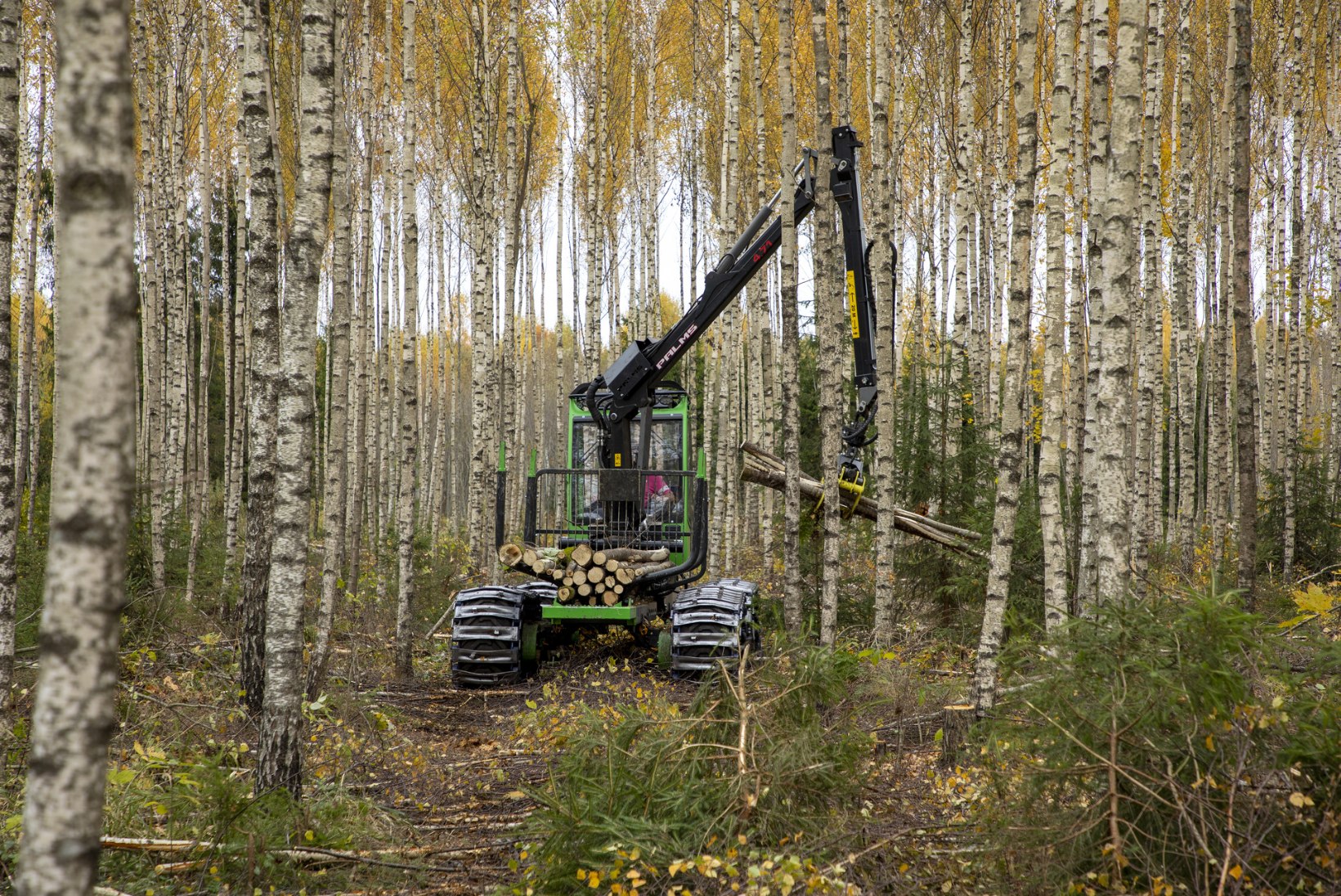 PIKAAEGNE JA VÄÄRIKAS RAHAPAIGUTUS: metsamajandajad jagavad soovitusi, kuidas investeerida metsa