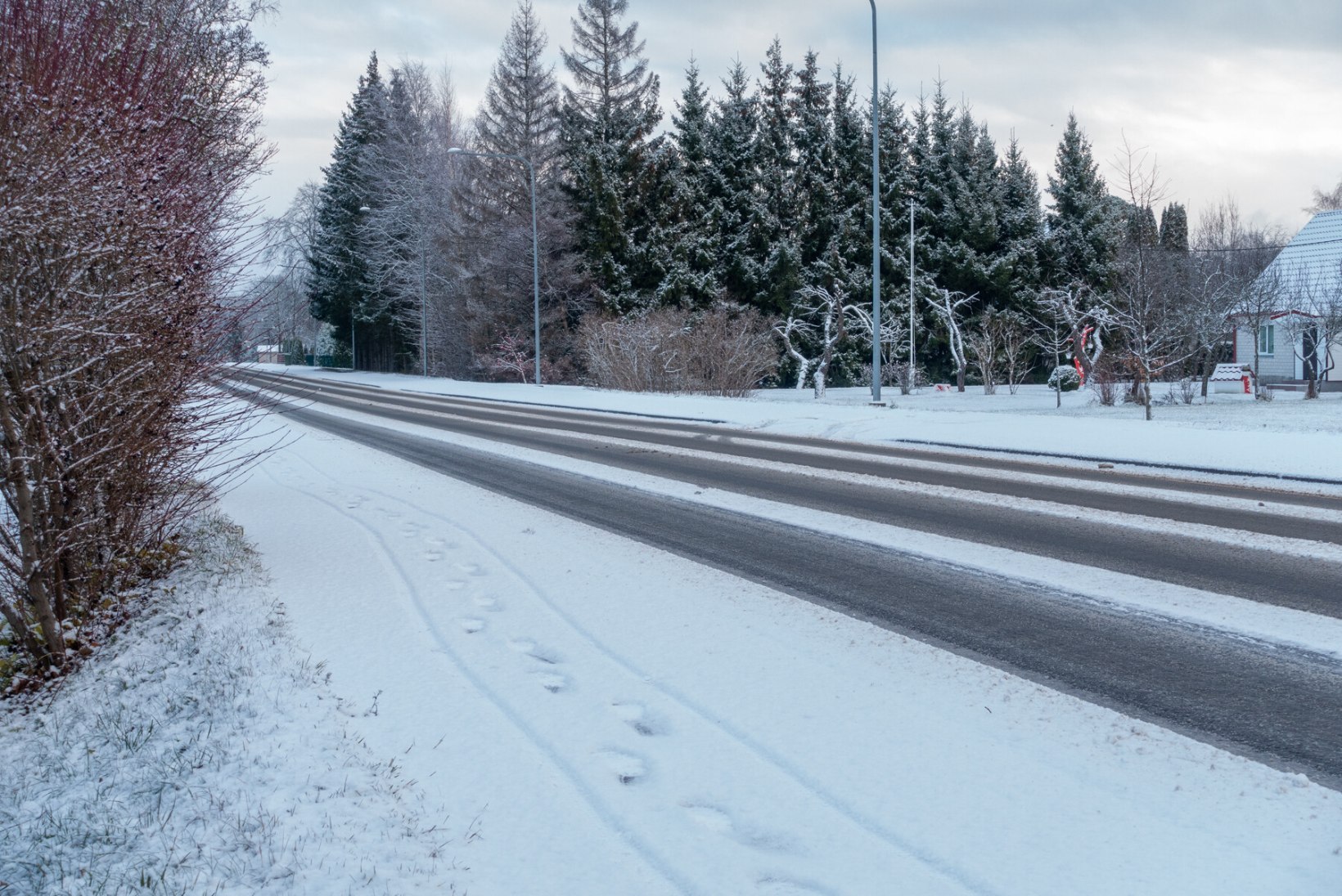 GALERII | Saaremaal sadas maha ilus lumevaip, liiklustingimused muutusid talviseks