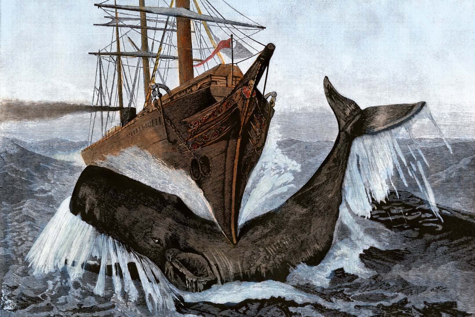 VALGE VAALA JÄLGEDES: Moby Dicki legend põhineb tõestisündinud lool