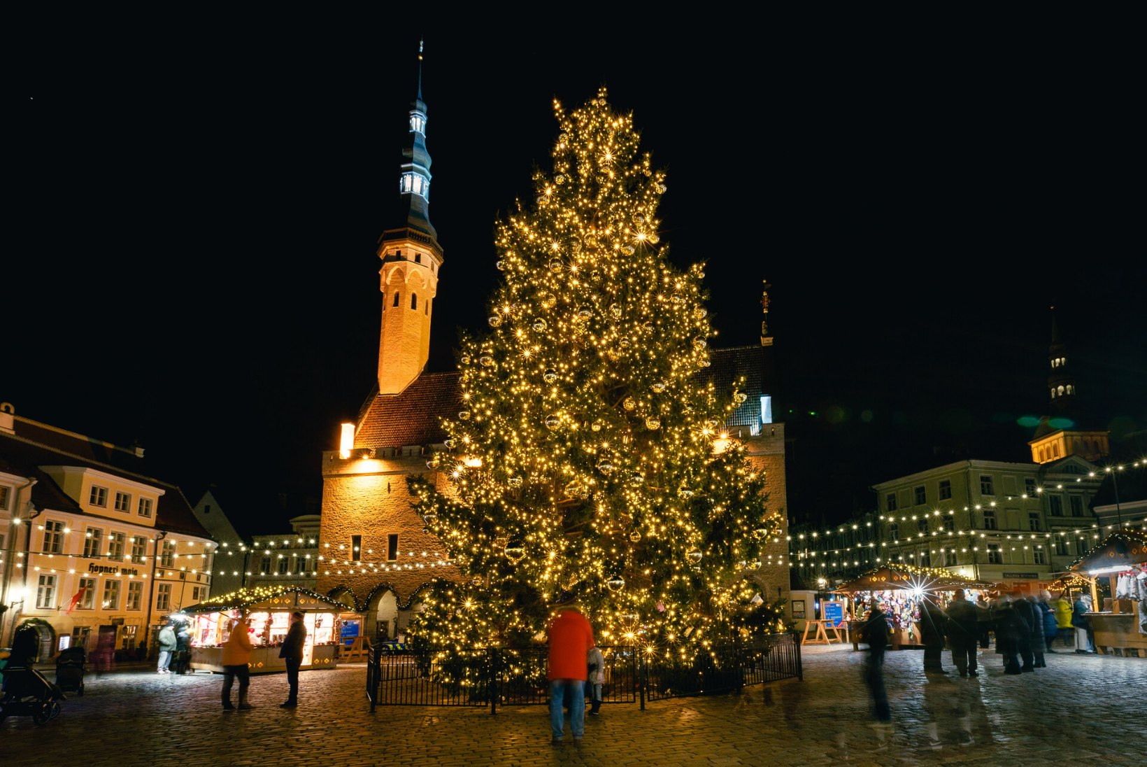 ARVA ÄRA! Kust kandist leiti pealinna tähtsaim jõulupuu?