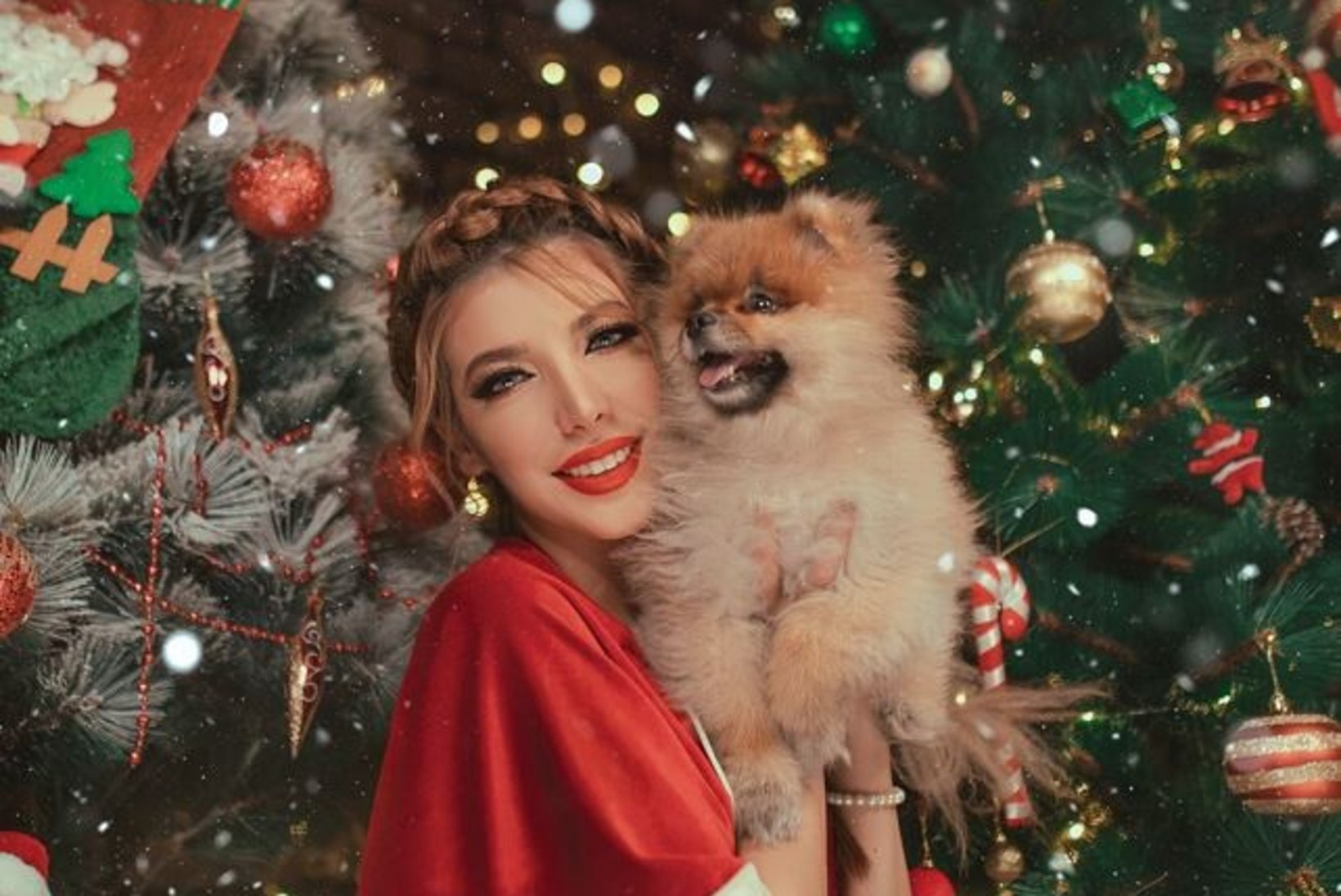 KÜSITLUS: need on koerte seas populaarseimad jõululaulud!