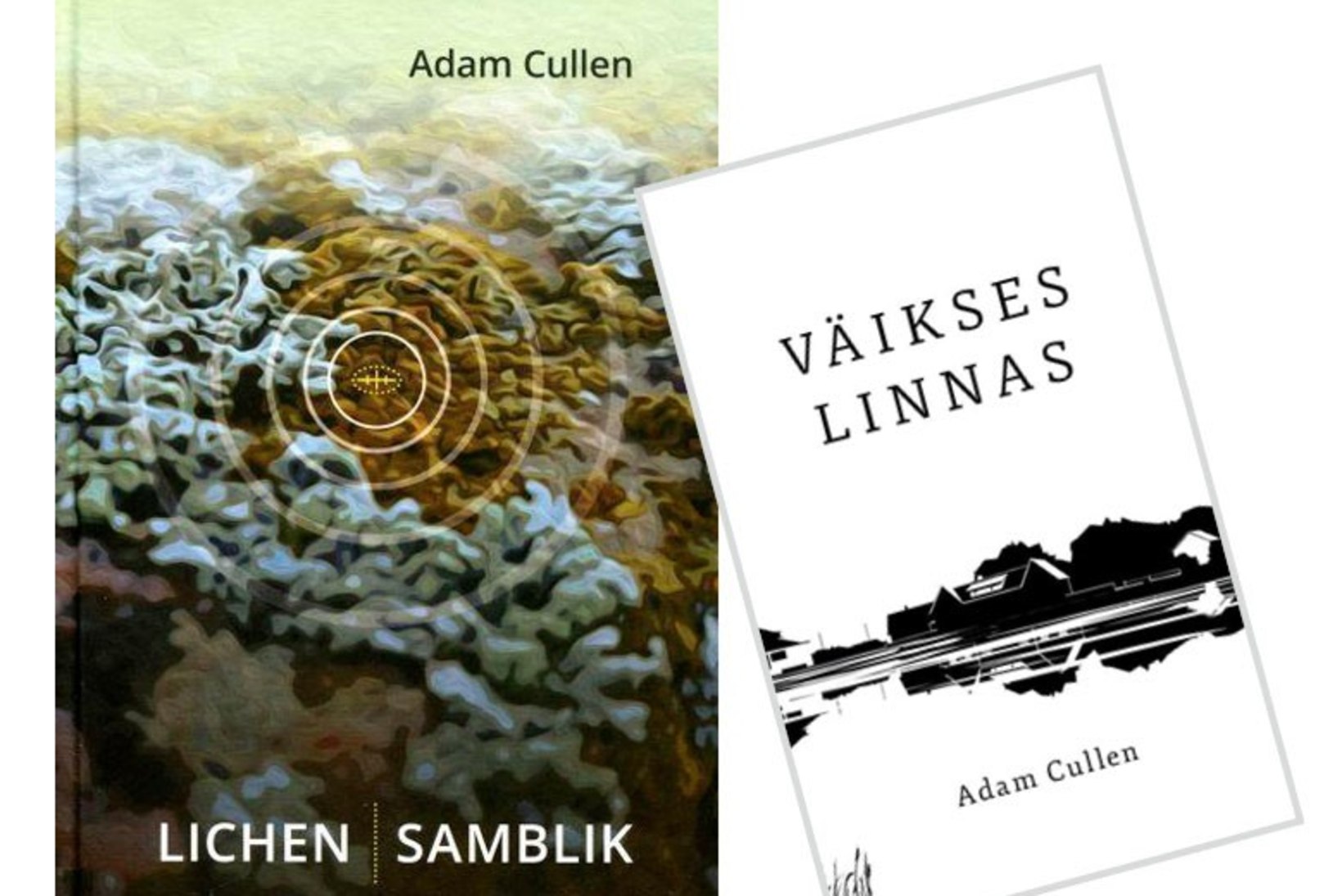 Ameeriklane Adam Cullen, norrakas Øyvind Rangøy ja soomlane Ville Hytönen: välismaa kirjanikud, kes armusid eesti keelde