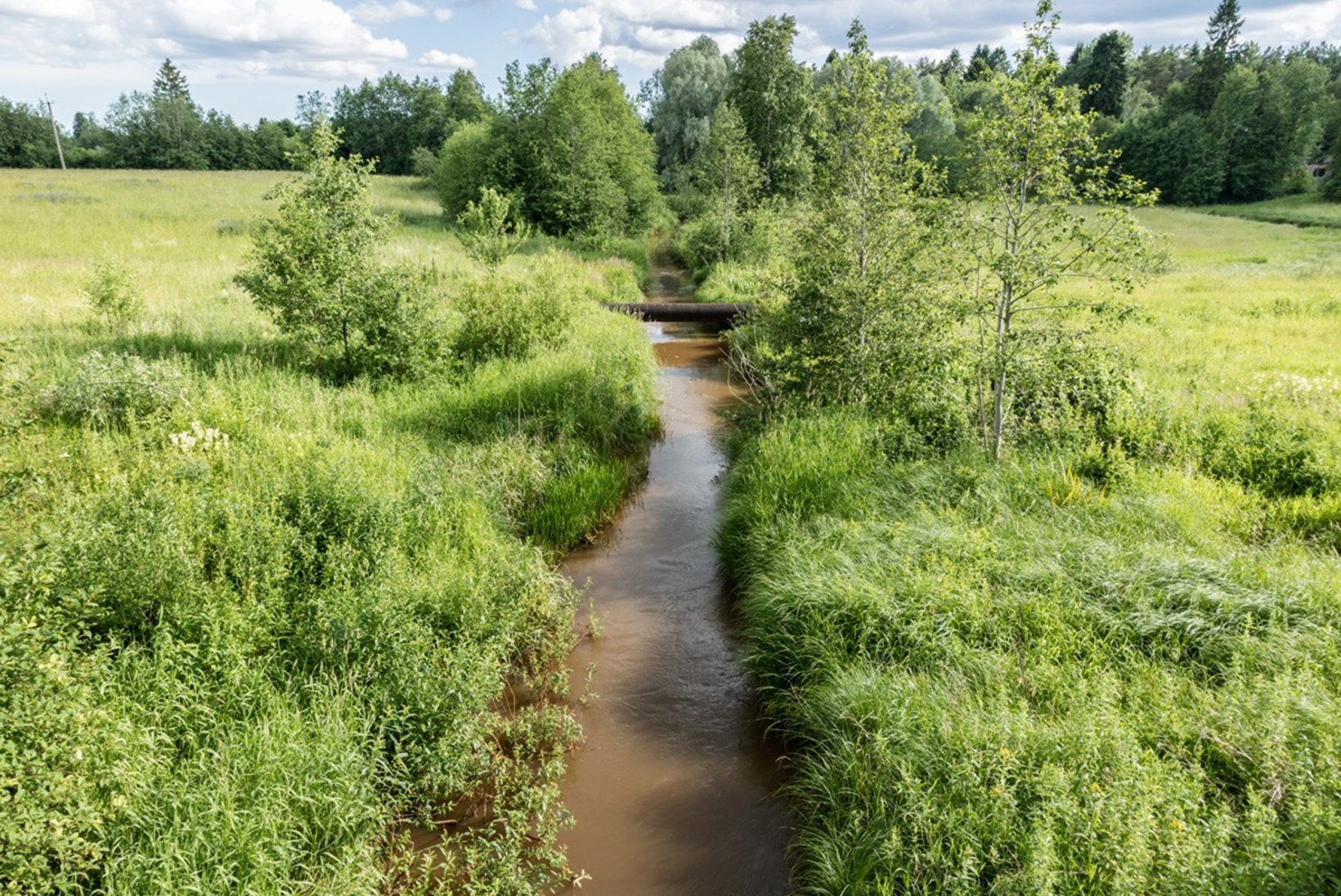 Eesti Kalastajate Selts: ulatuslikud kuivendussüsteemid mõjutavad meie veekogude loomulikku toimimist ja elurikkust