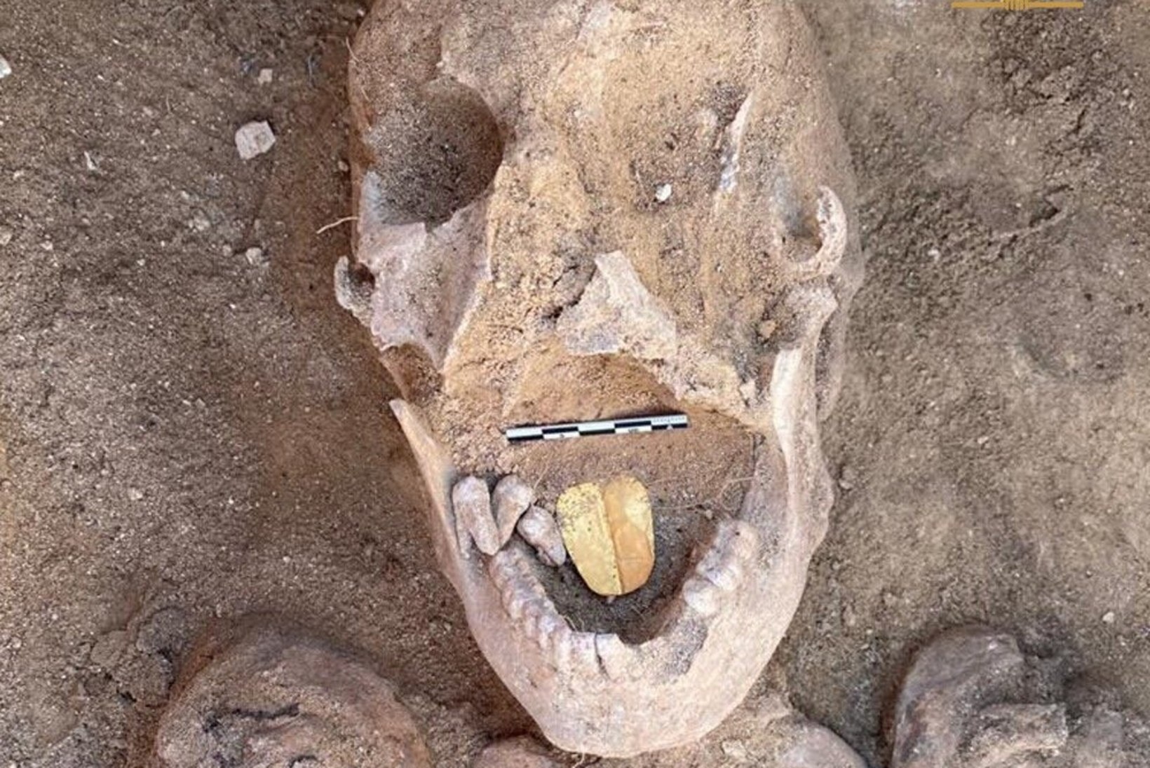 HUVITAV LEID: arheoloogid avastasid Egiptusest kullast keelega muumia