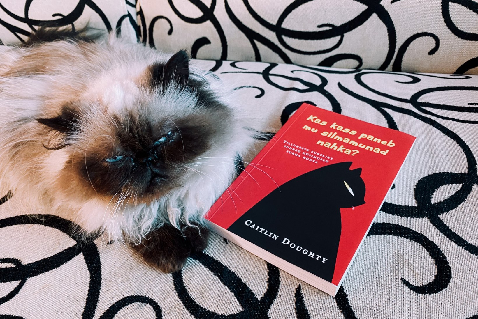 LUGEMISSOOVITUS | Morbiidne, ent humoorikas raamat, millest selgub, kas kassid ikkagi söövad surnud omanike silmamune või mitte