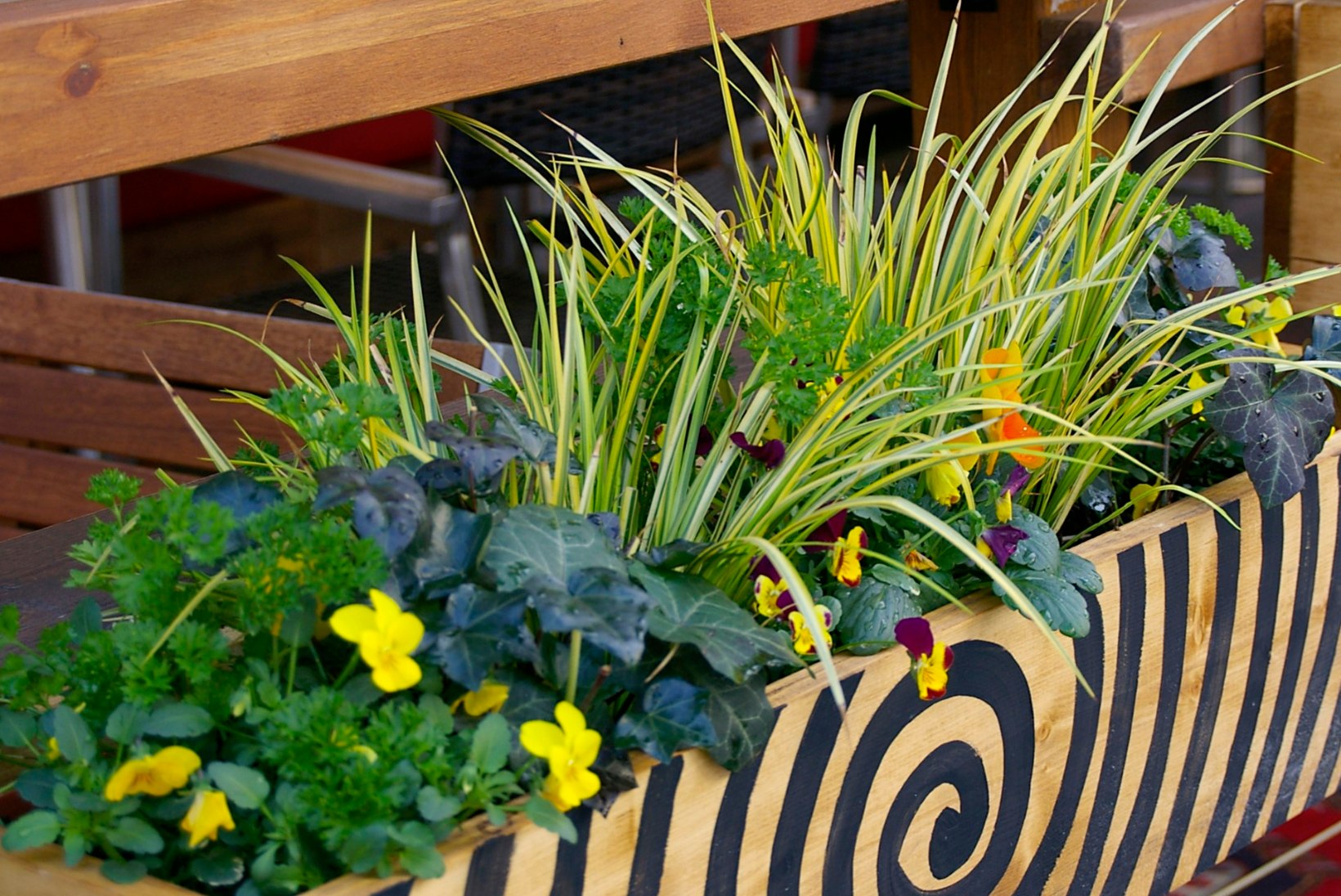 INPIRATSIOONIKS | Terrass ja rõdu õitsema! Just need taimed sobivad varakevadel istutamiseks