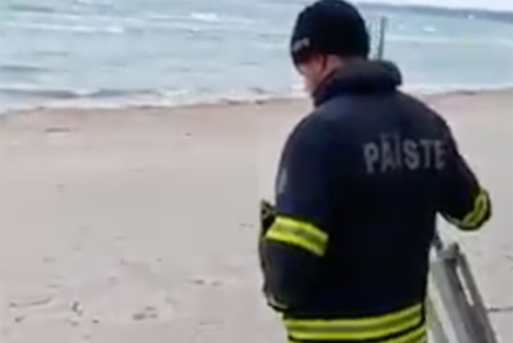 NUNNU VIDEO | Pirita rannas vajas päästjate abi hülgepoeg, kes ise enam merd üles ei leidnud