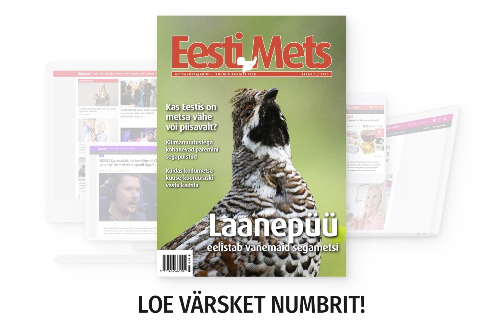 Eesti Metsa uus number on ilmunud! 