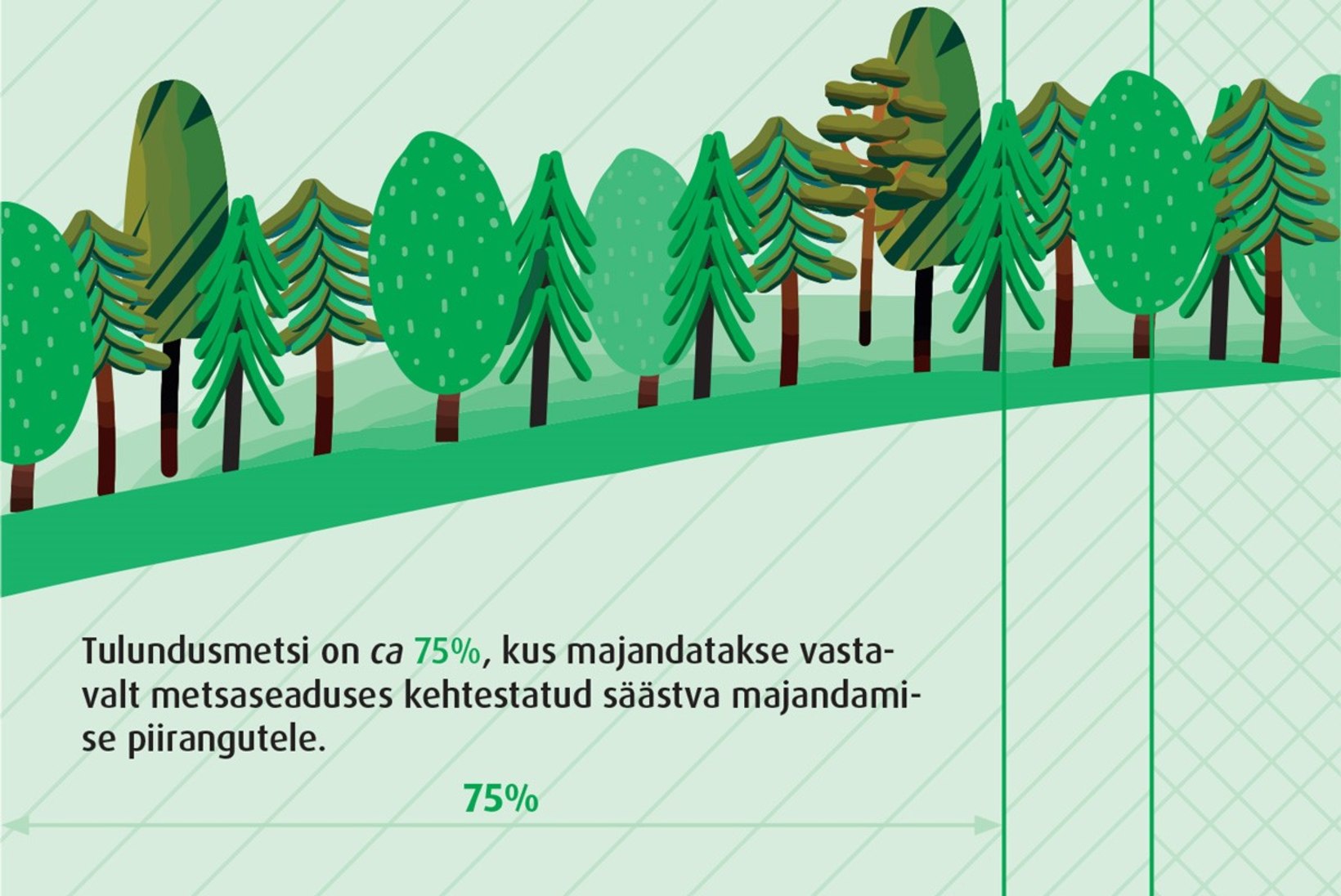 Kas Eestis on metsa liiga vähe, palju või piisavalt?