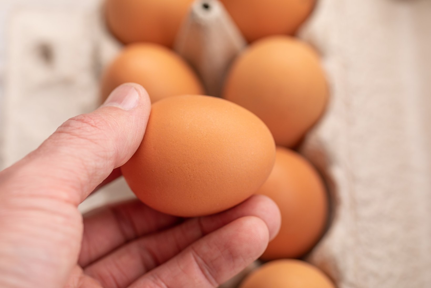 MITU MUNA PÄEVAS VÕIB SÜÜA? 6 tõde ja müüti munast