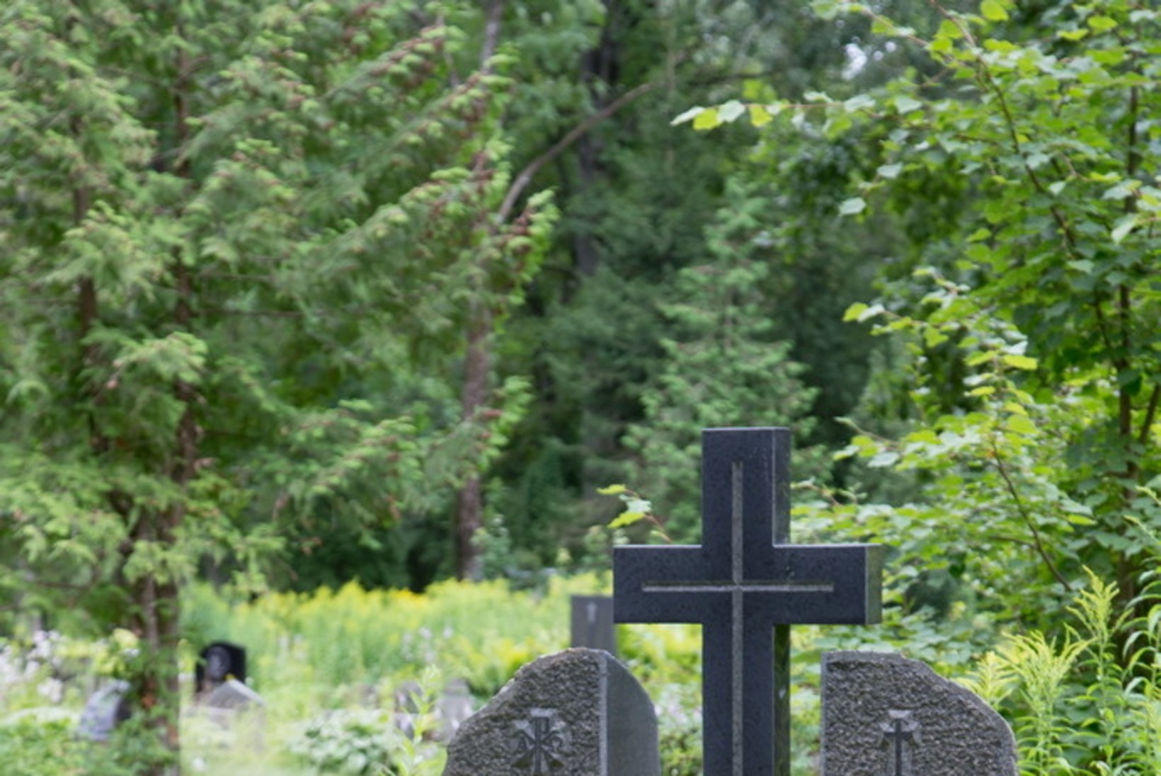 Voldemar Kuslapi kalmukolumn | Võimsad hauasambad Raadil
