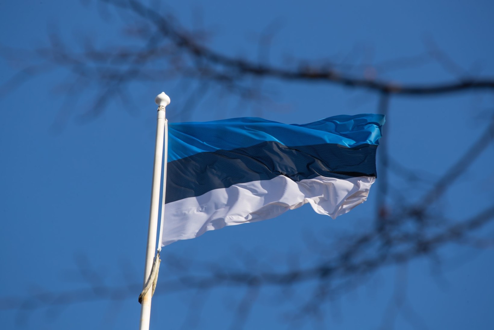 Tõnis Erilaiu lehesaba | Kuidas tekkis Eesti esimene väeühik