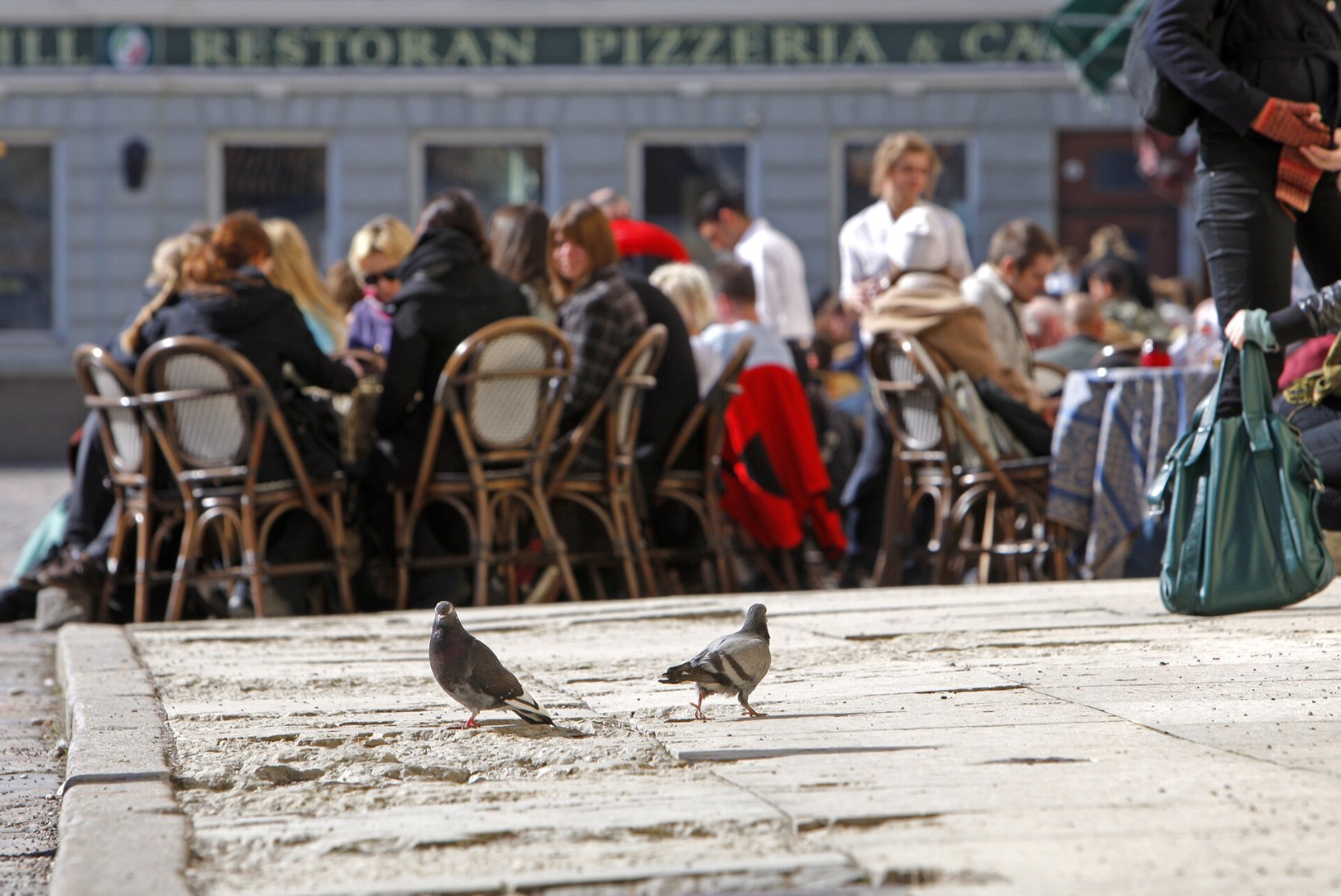 Lugejakiri | Välirestoranis tuleb süüa koos kõrvallauas einestavate lindudega