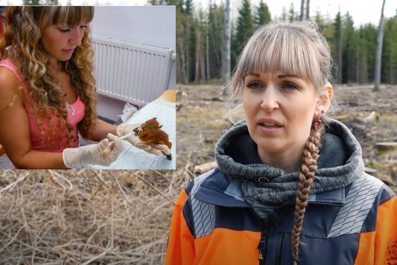 Raierahu rikkumine tapab loodust! Igal kevadel hukkub kümneid tuhandeid linnu- ja loomapoegi: see on õudne, mis Eestis toimub!
