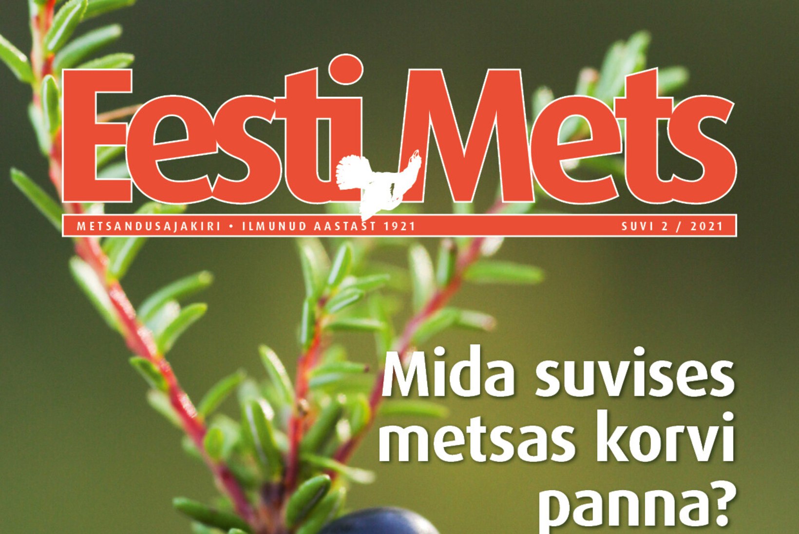 Ajakirja Eesti Mets uus number on ilmunud! 