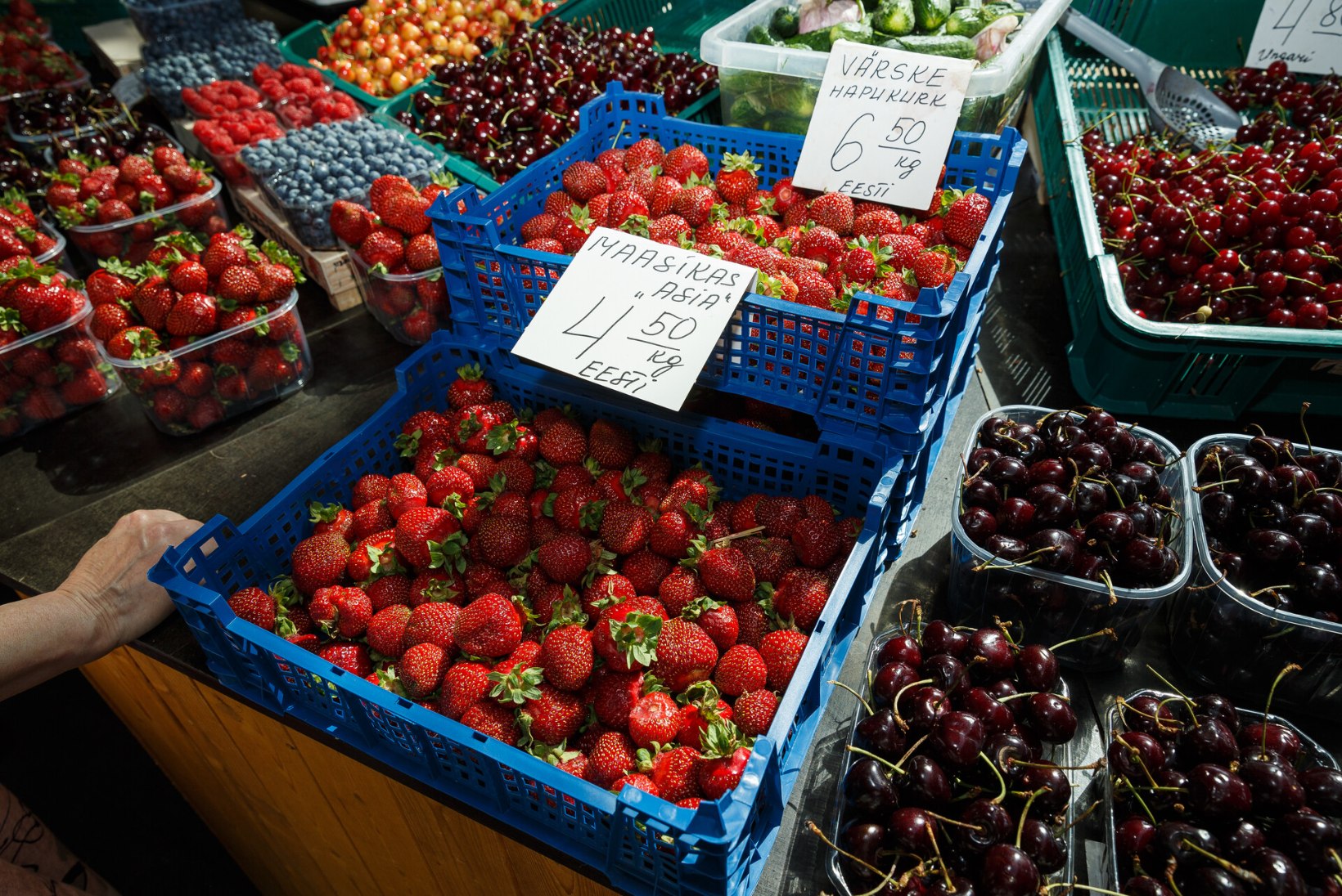 GALERII | USKUMATU HINNALANGUS: kilo Eesti maasikaid saab vähem kui 4 euroga, ise korjates veelgi odavamalt