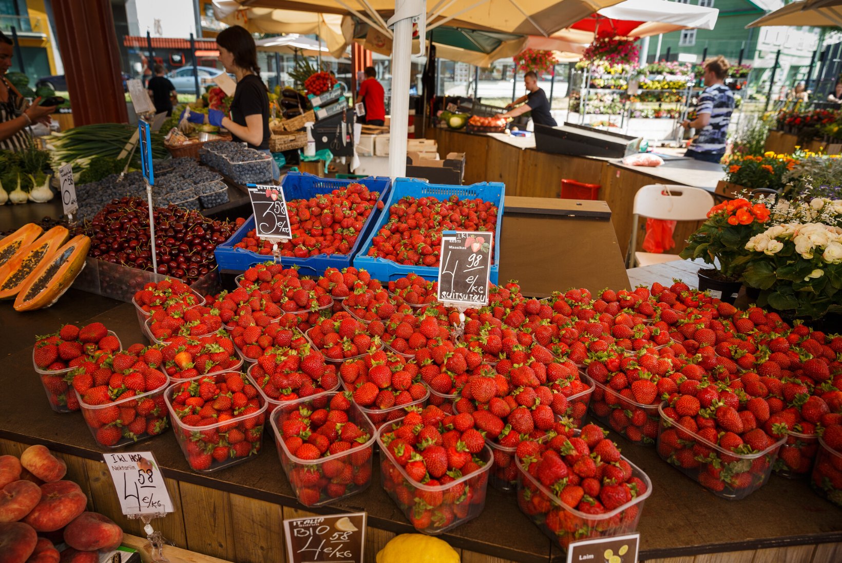 GALERII | USKUMATU HINNALANGUS: kilo Eesti maasikaid saab vähem kui 4 euroga, ise korjates veelgi odavamalt