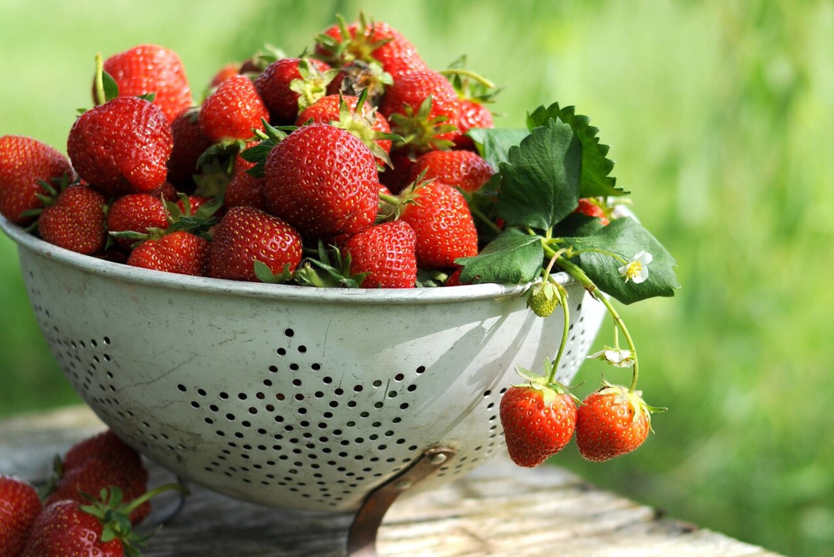NÄDALAMENÜÜ | 28. juuni – 4. juuli: kuidas maasikaid argitoitudes rohkem kasutada